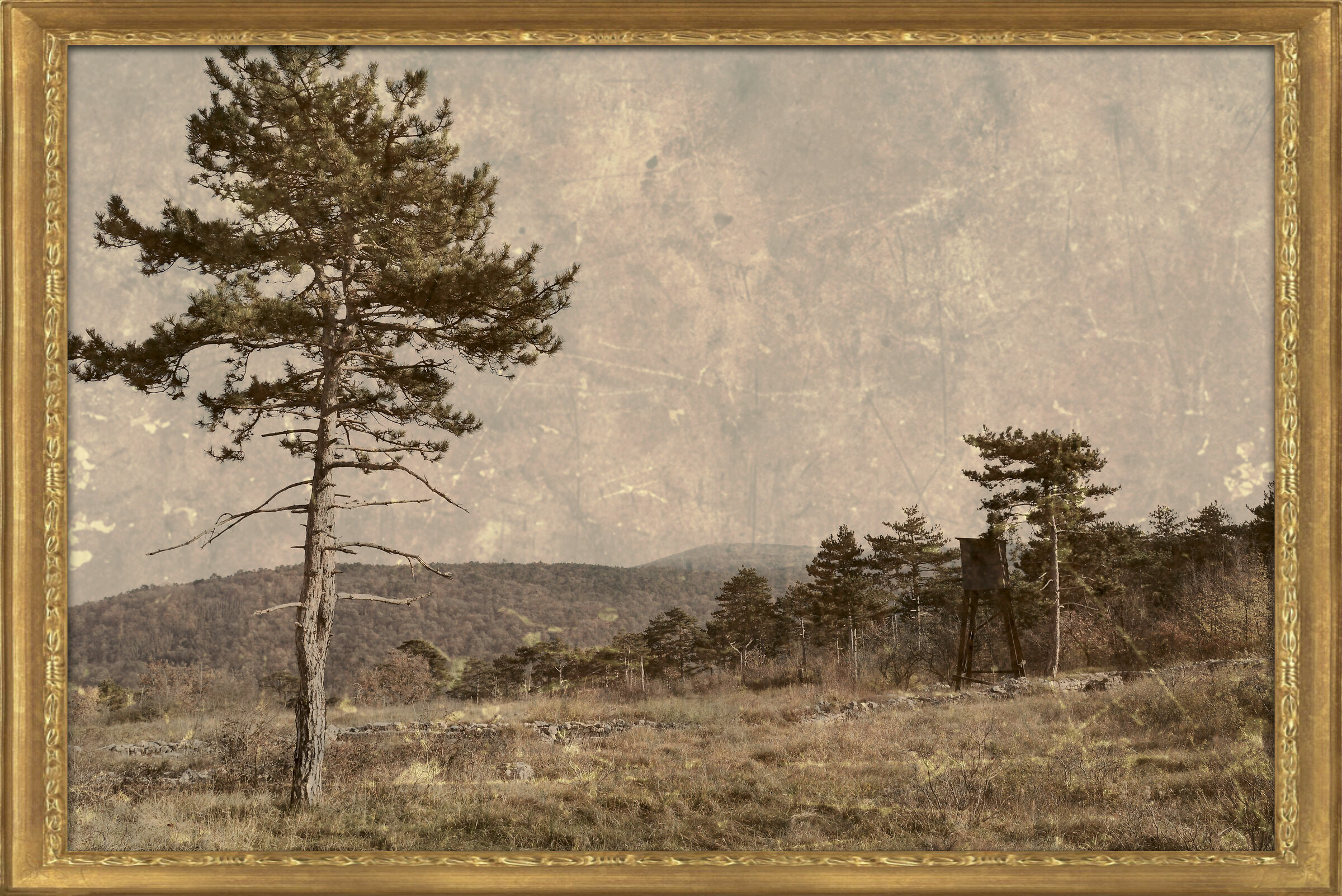 Vista del confine nemico