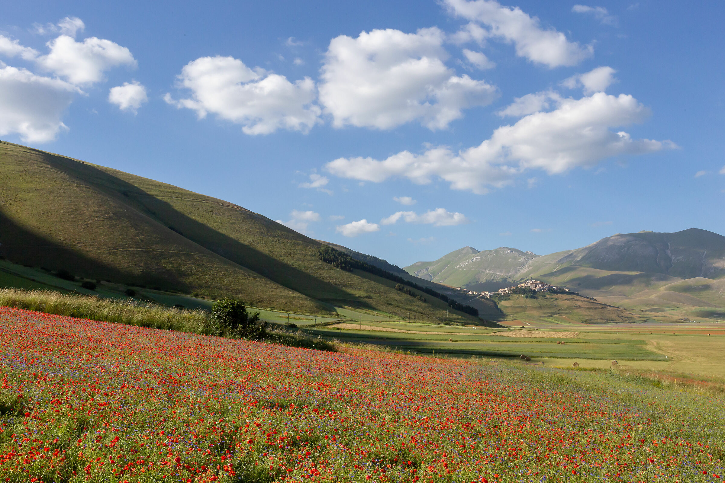 Castelluccio
