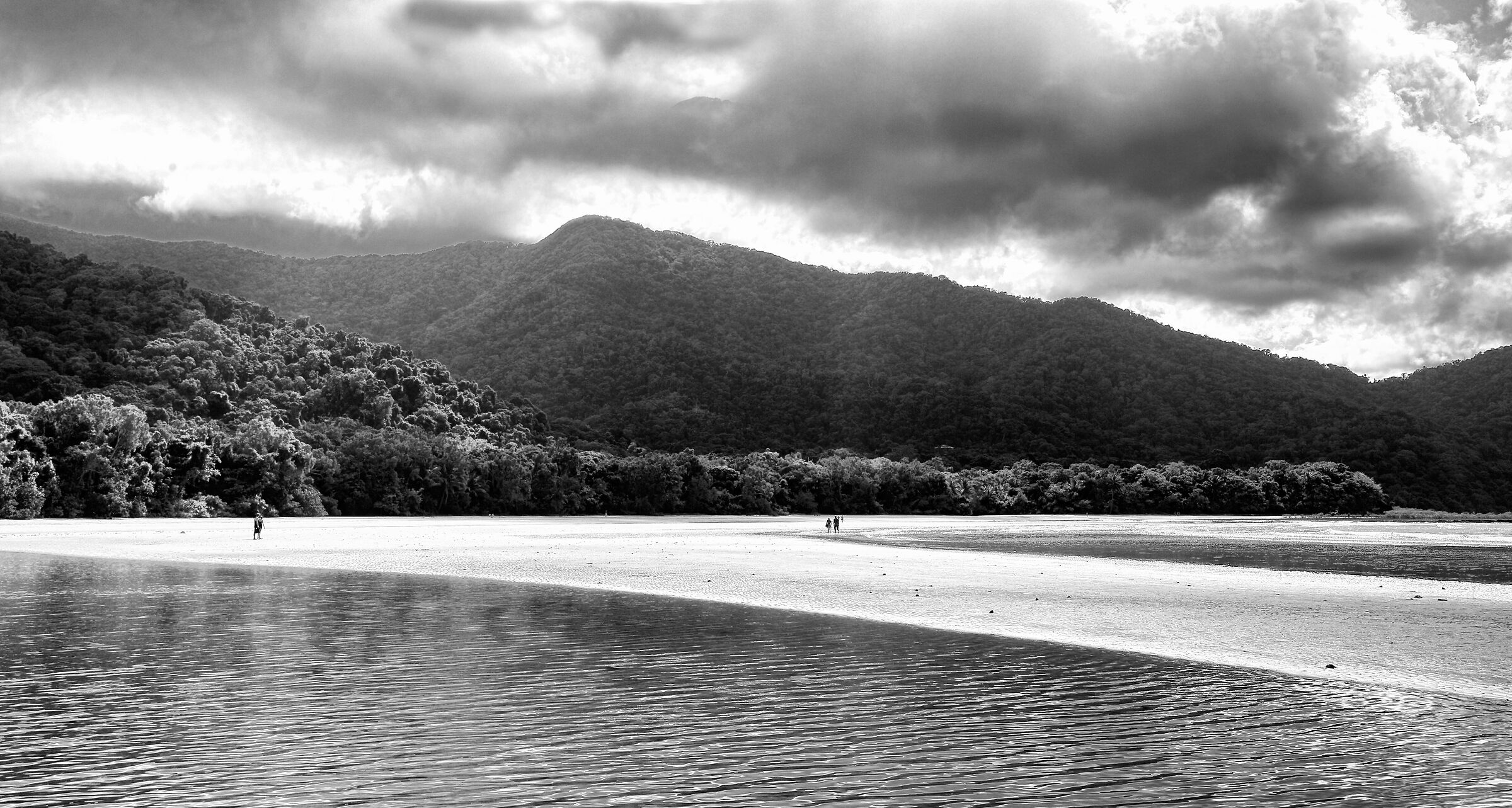 Cape Tribulation