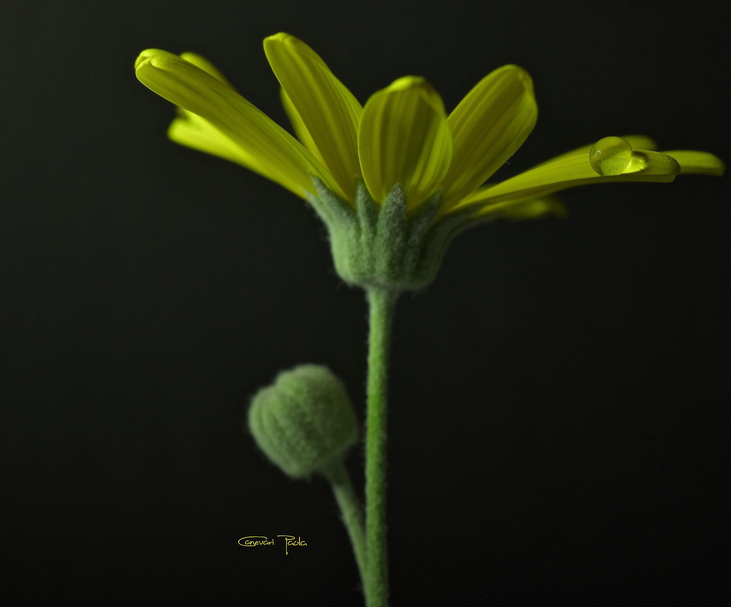 Untitled Photo