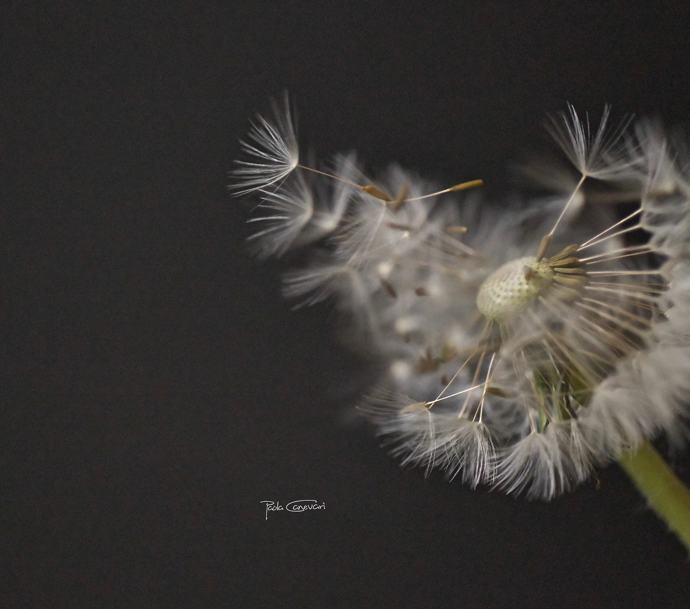 Untitled Photo