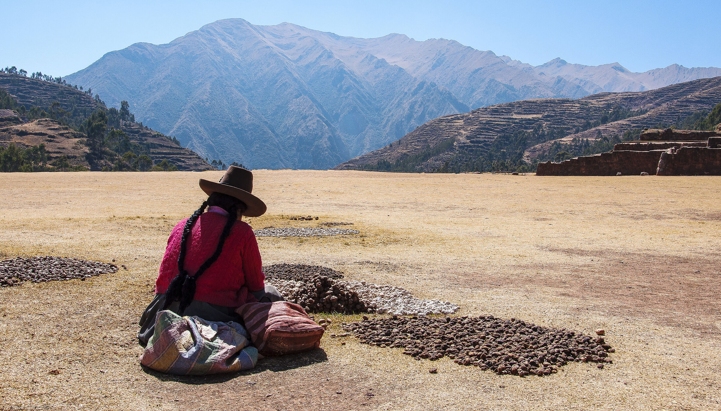 Potato seller (Peru)