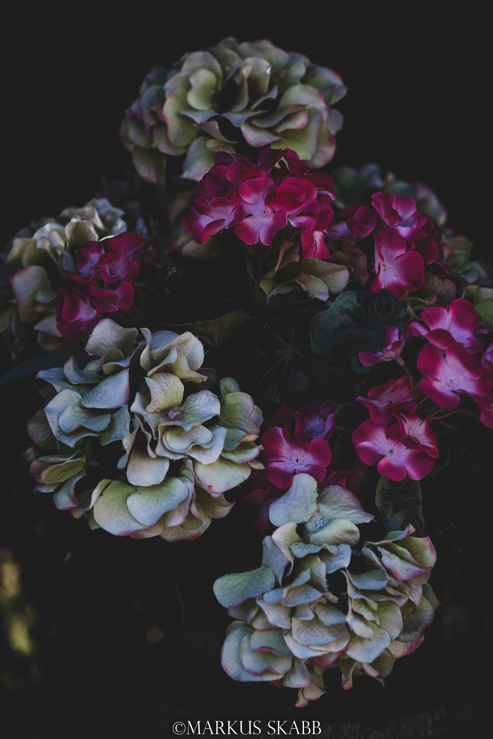 Un po' di colore e tanto silenzio