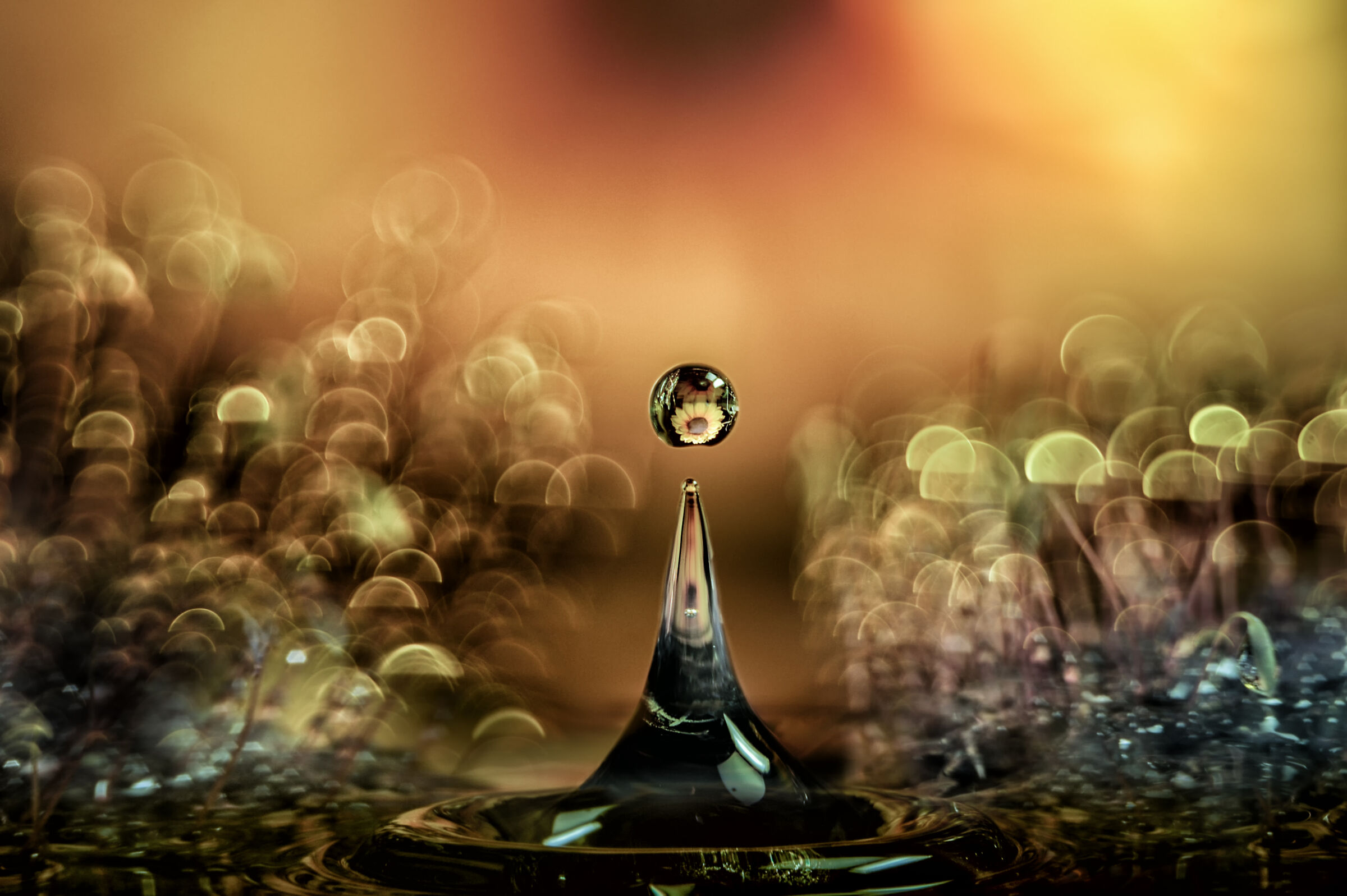 Infrared Vision (full spectrum)