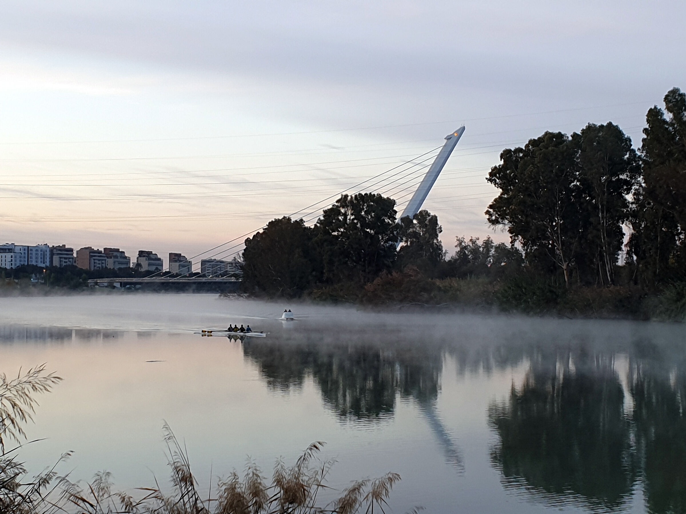 Movimenti di mattina sul Guadalquivir