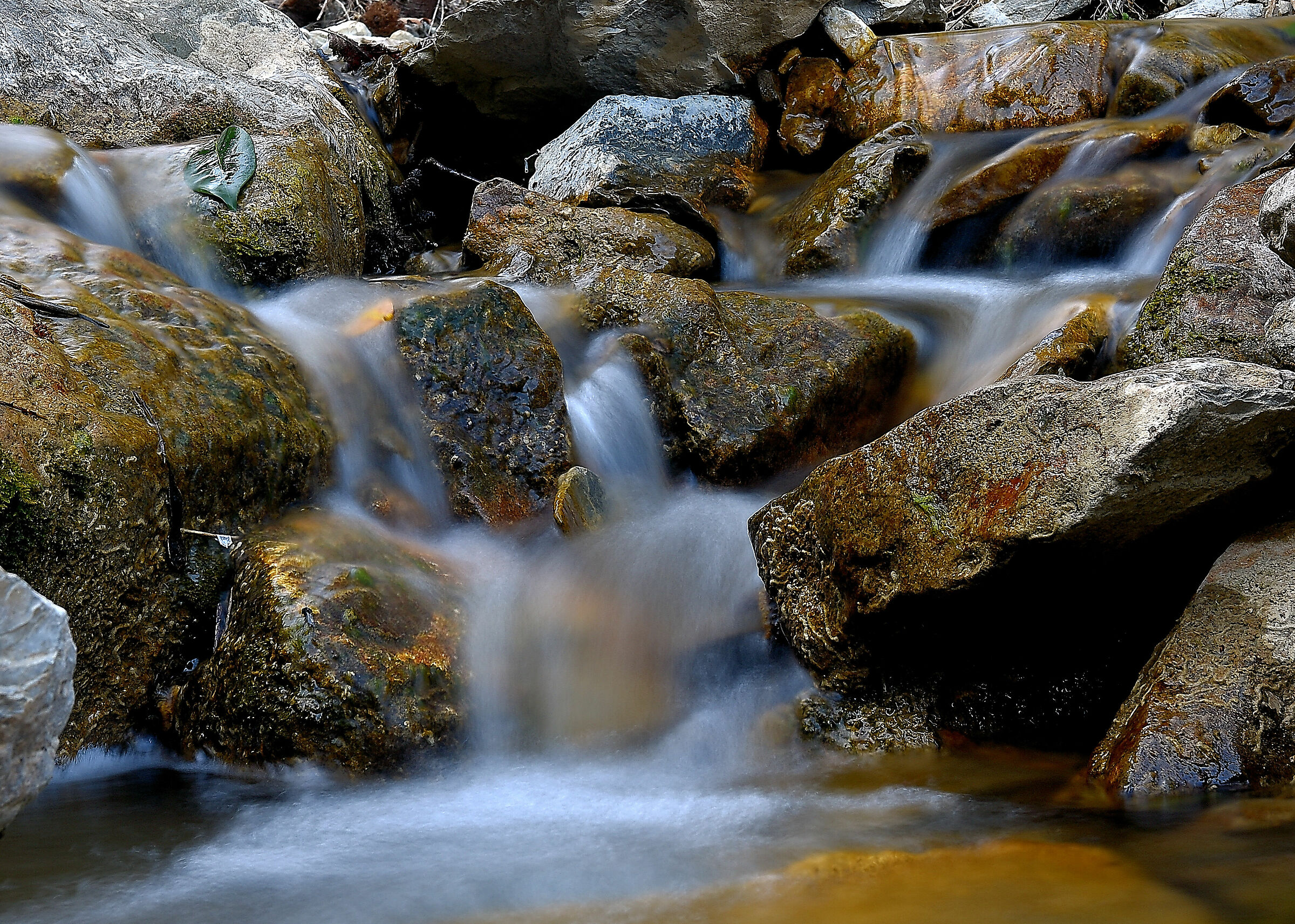 Water