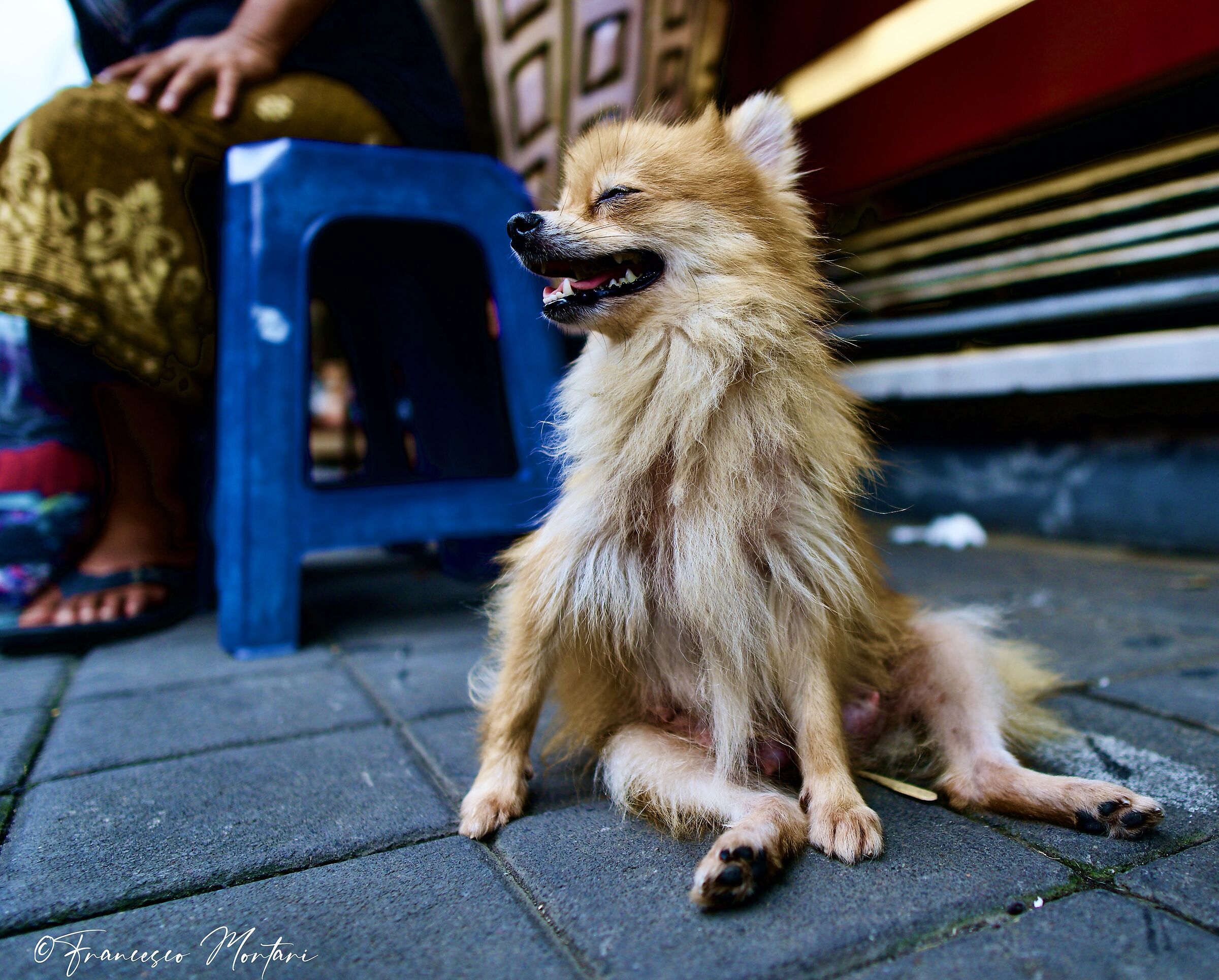 Walking through the streets of Ubud, Bali, Indonesia.