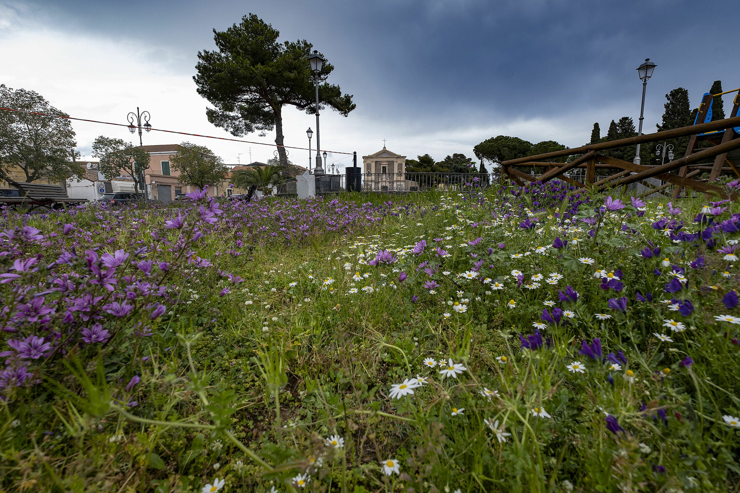 Fujifilm x-t3, Fujifilm XF 10-24mm f/4 R OIS a 10mm