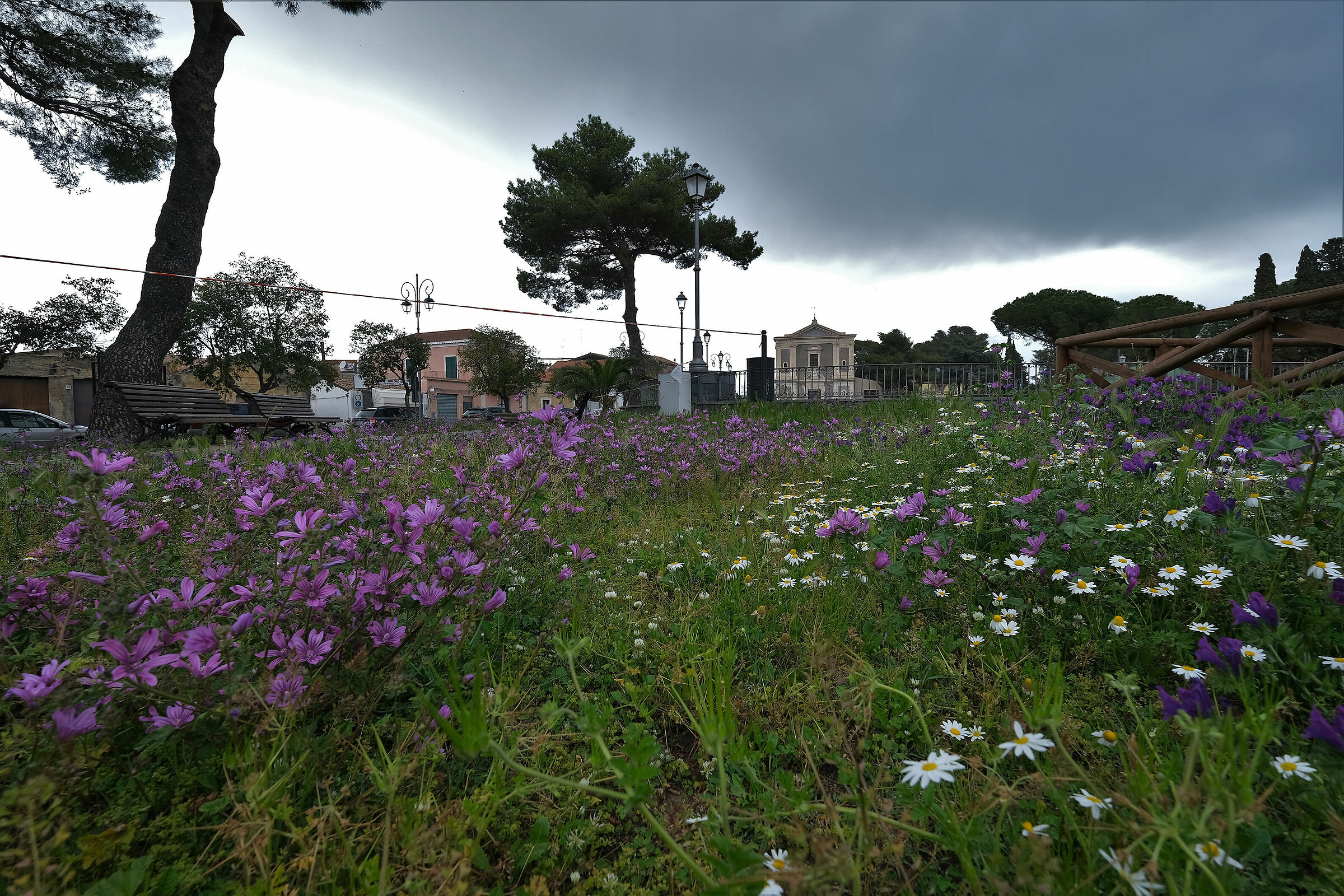 Fujifilm XF 10-24mm f/4 R OIS