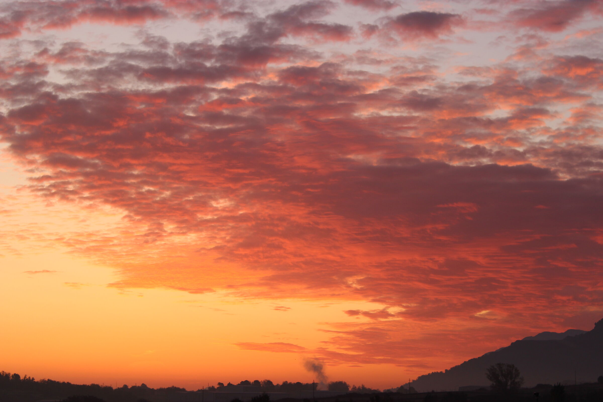 Sunrise in Quarantine