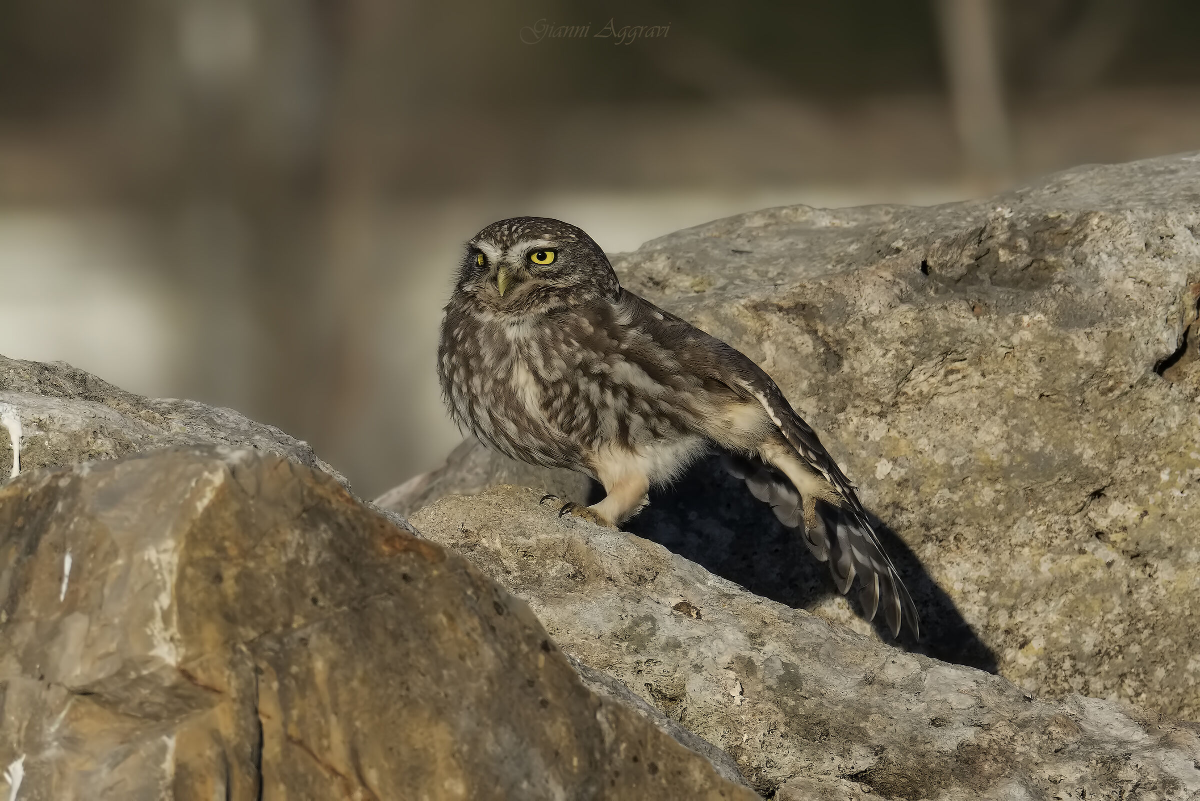 Stretching in periodo di quarantena