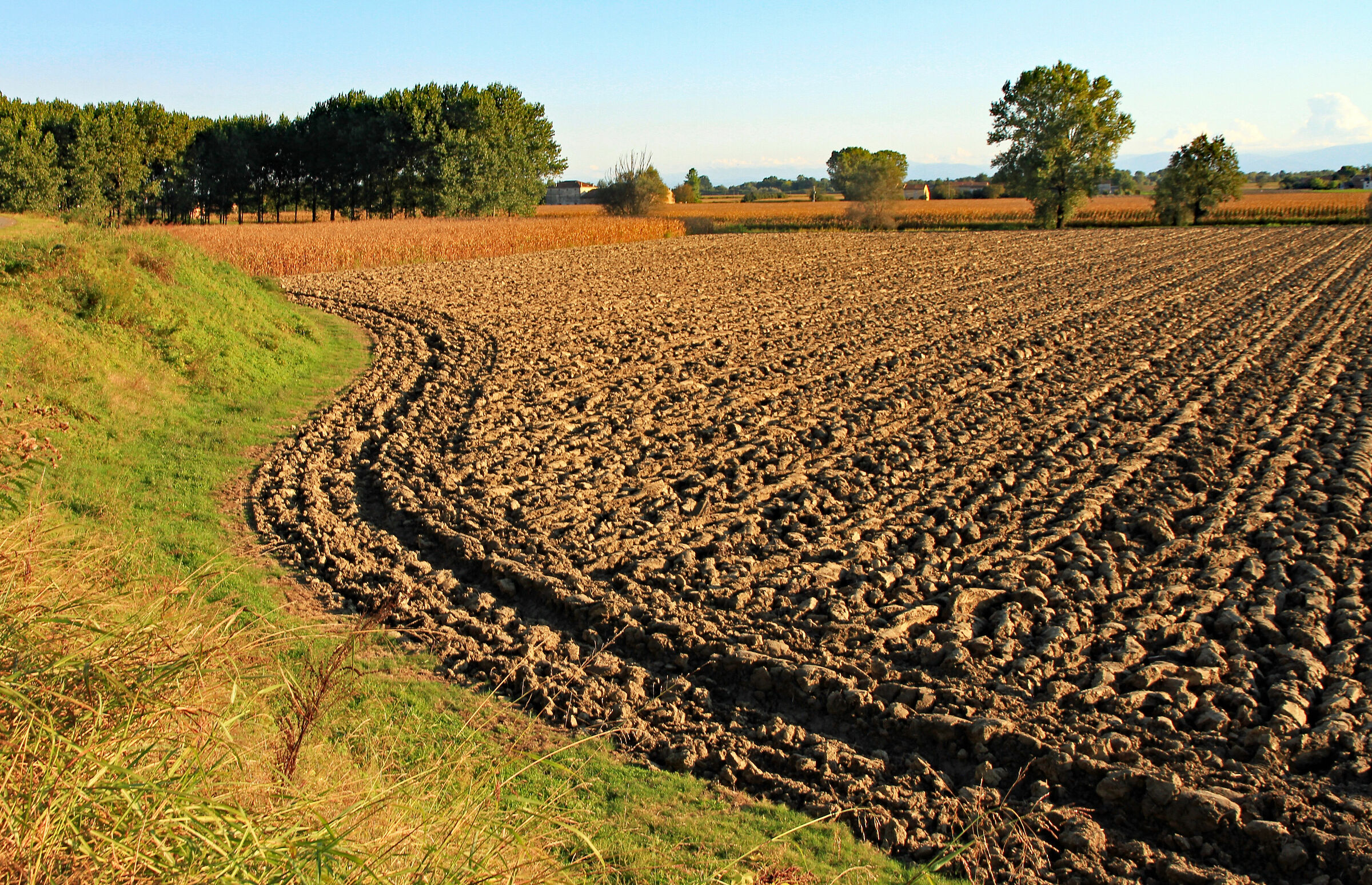 "Bassa" parmense: Campi presso gli argini del Po