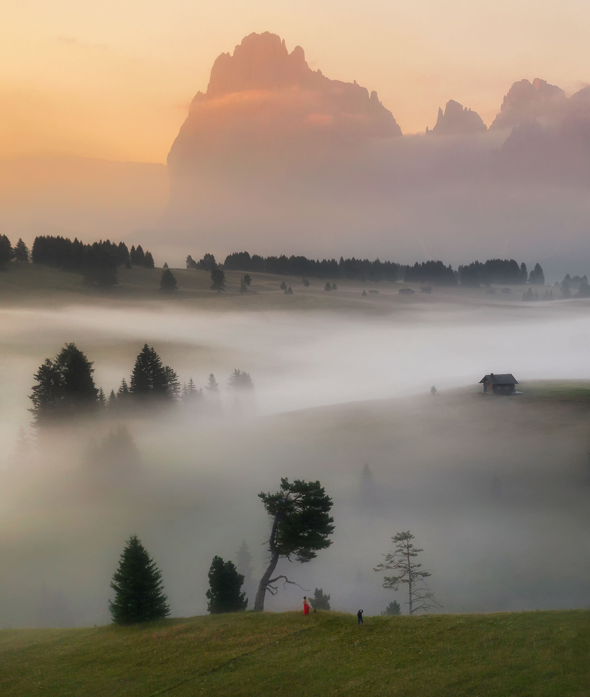 Servizio fotografico mattutino