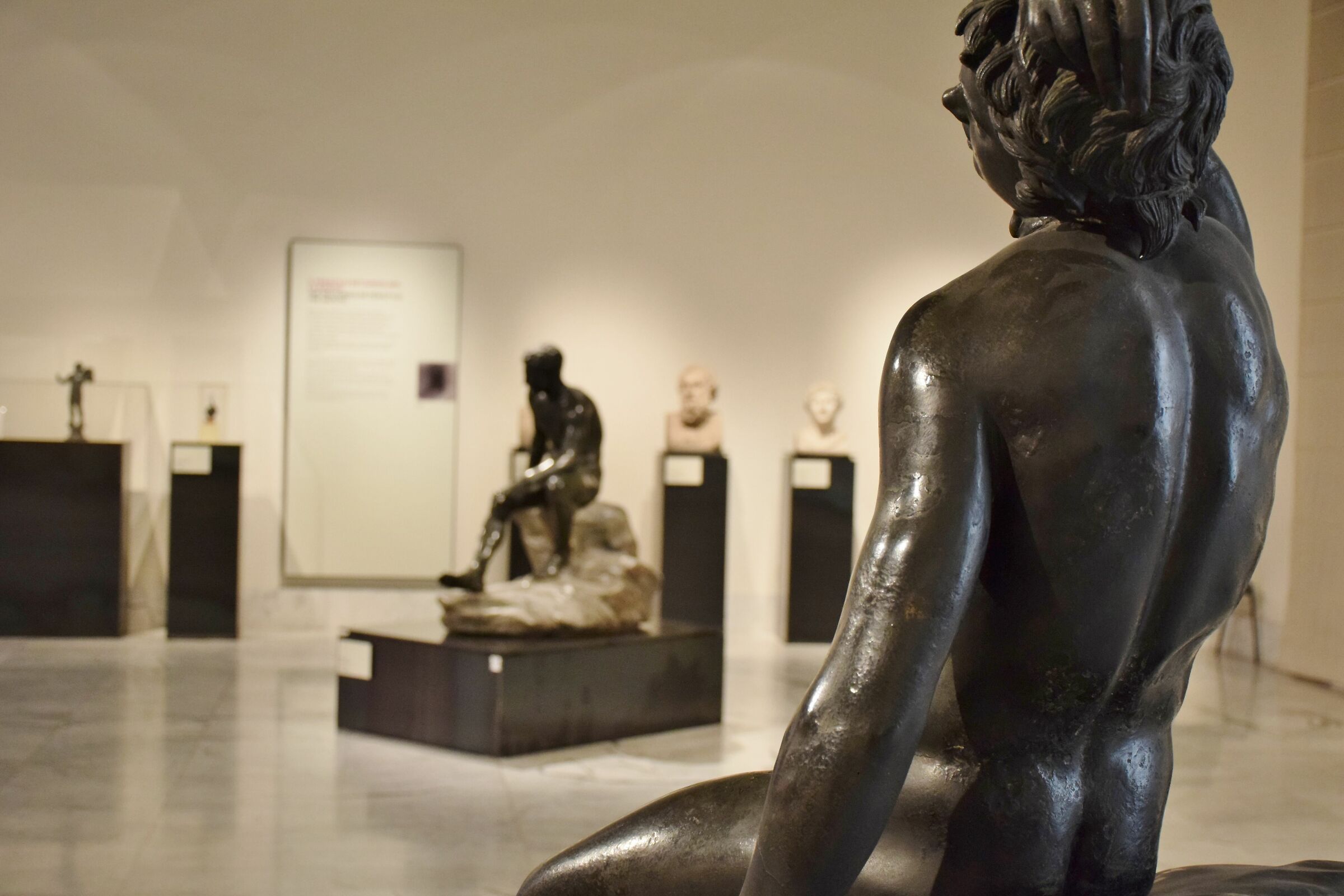 Museo Archeologico di Napoli "Villa dei Papiri"