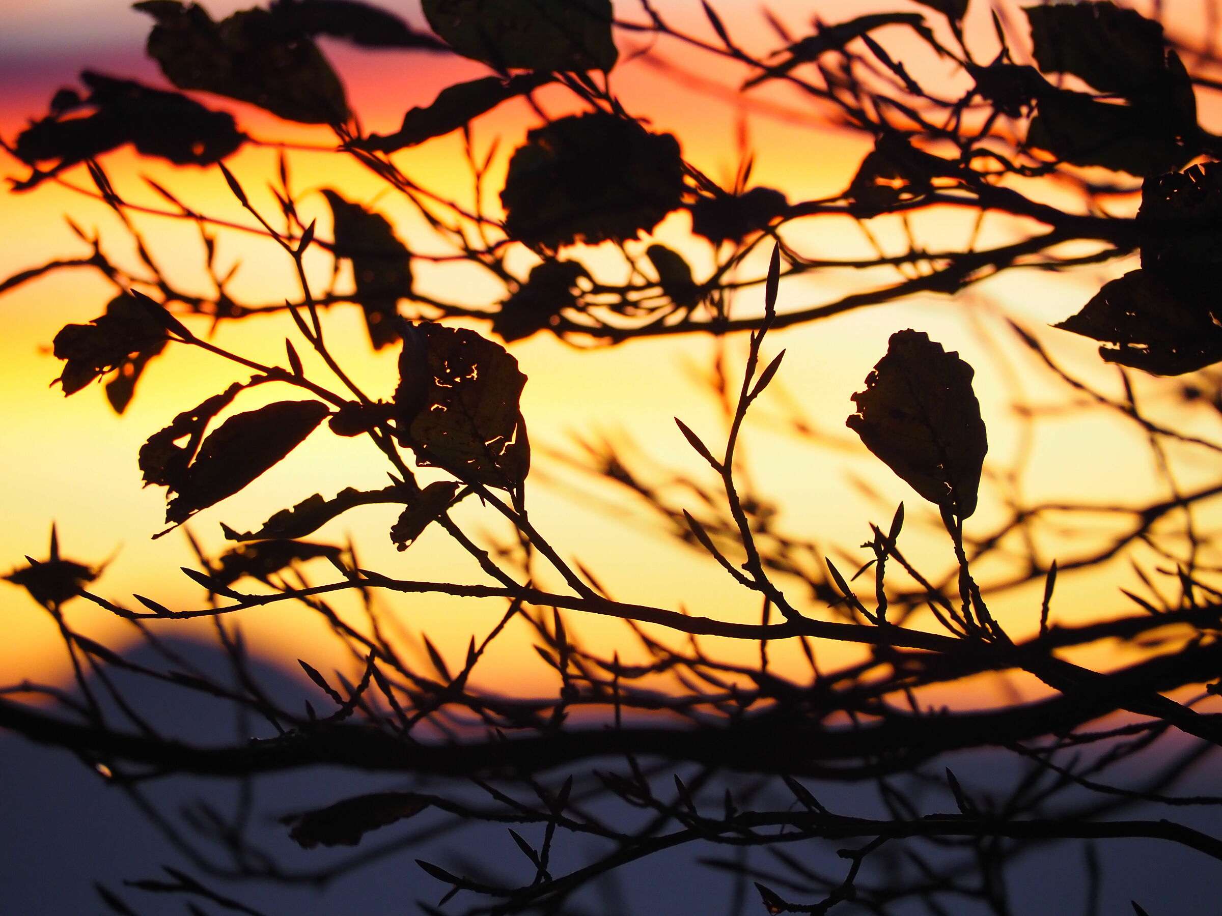 Alba sul Monte Cucco