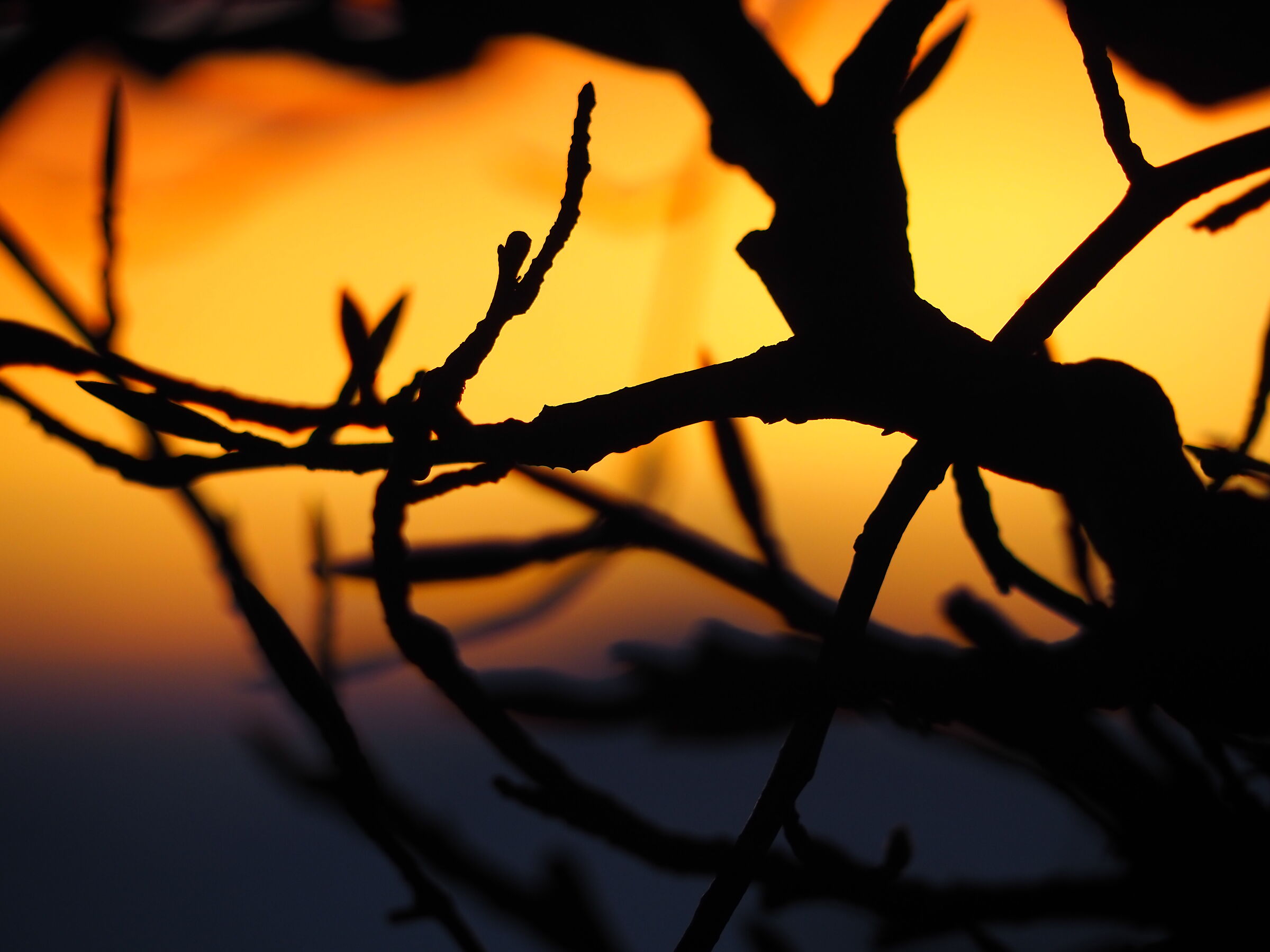 Alba sul Monte Cucco