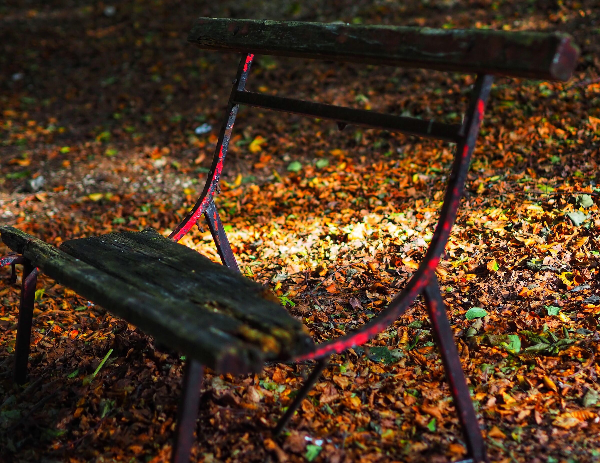 Ognuno dovrebbe trovare il tempo per sedersi e guardare