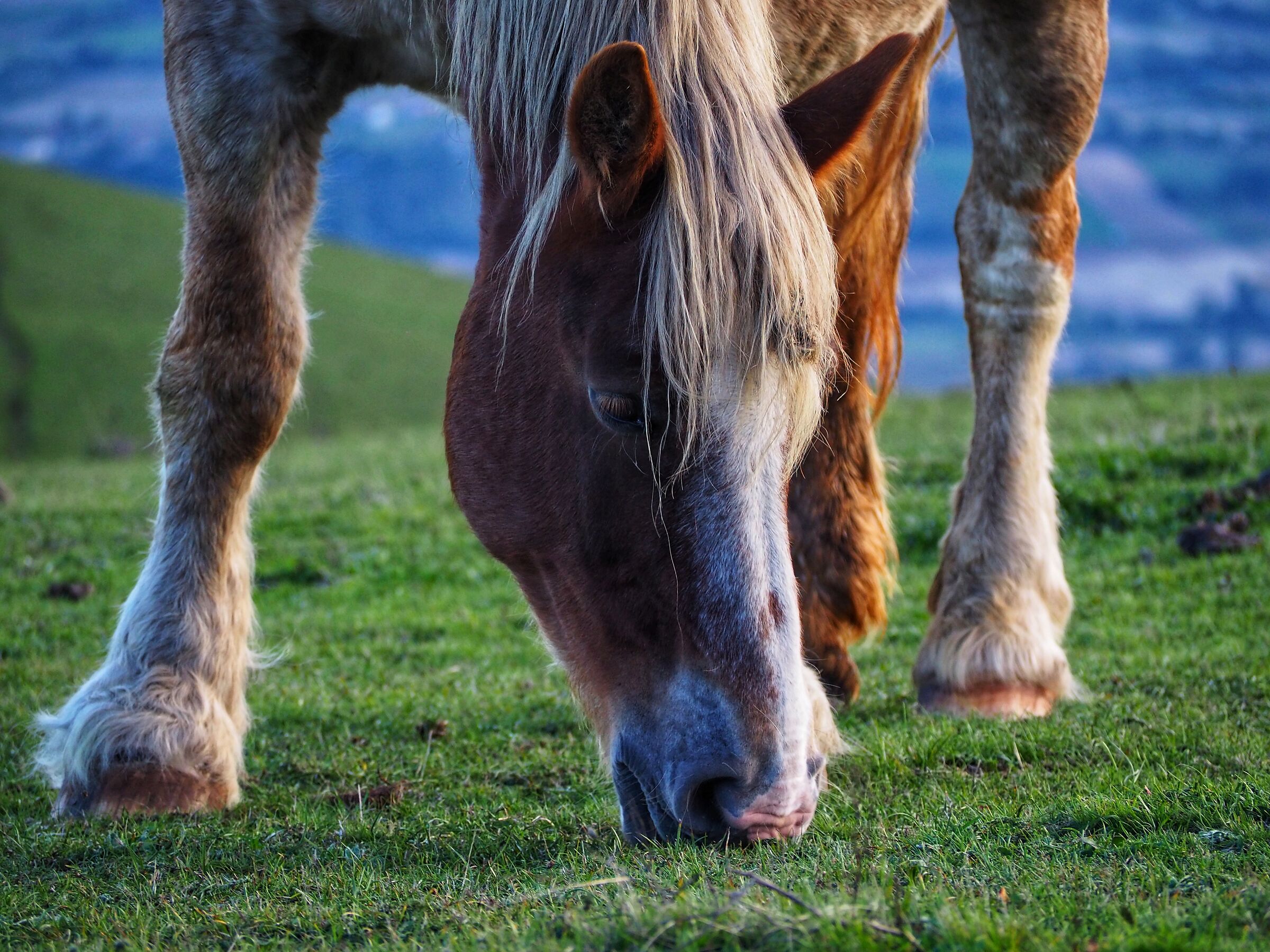 Incontri sul Monte Cucco