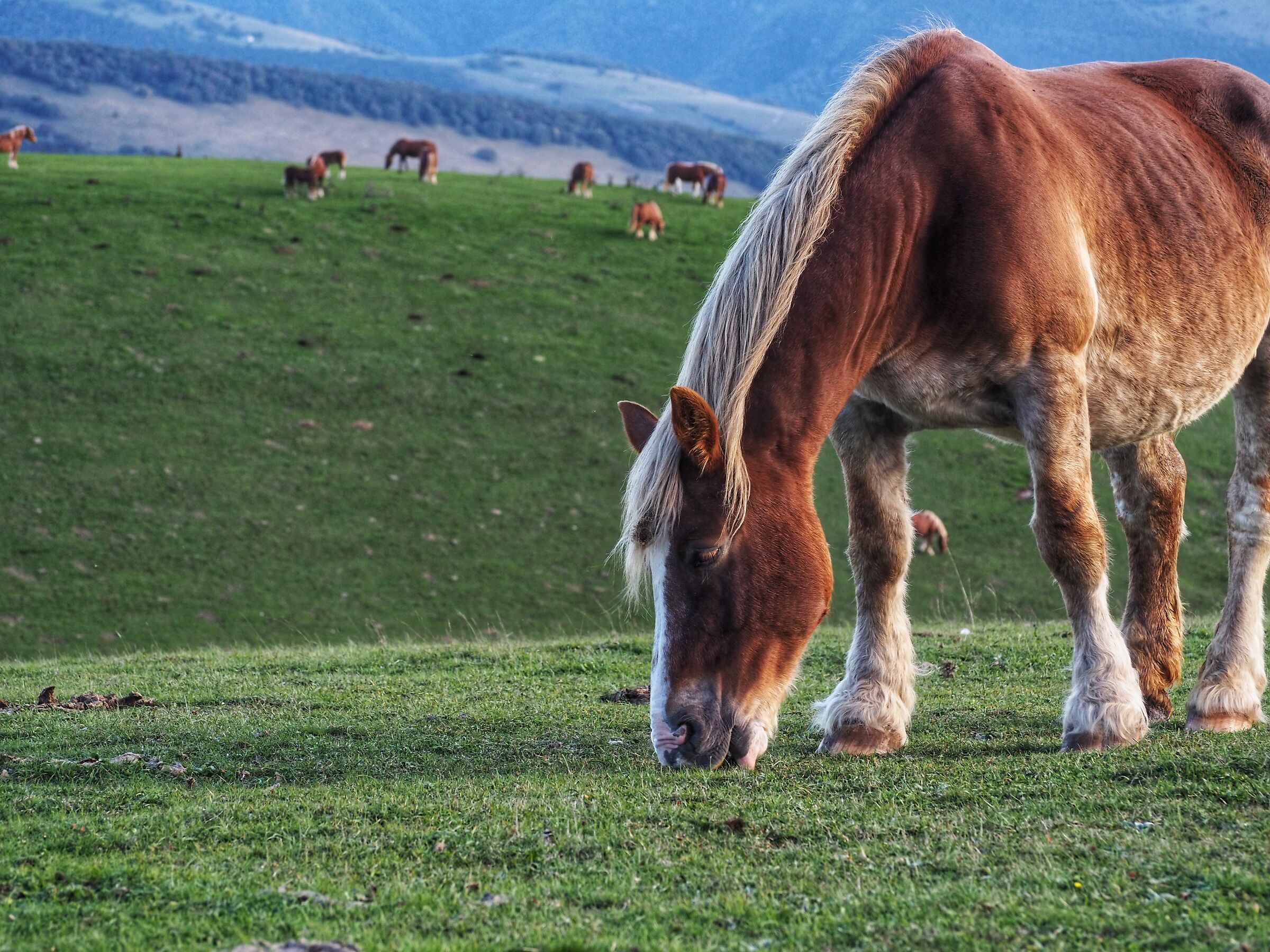 Incontri sul Monte Cucco