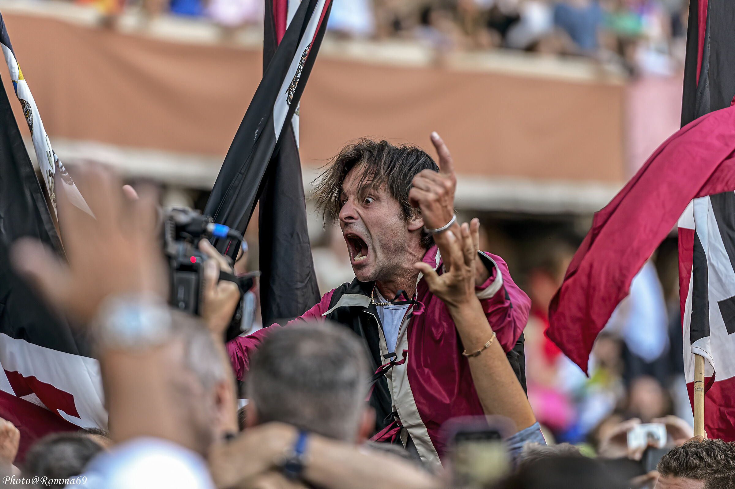 L'esultanza della Civetta