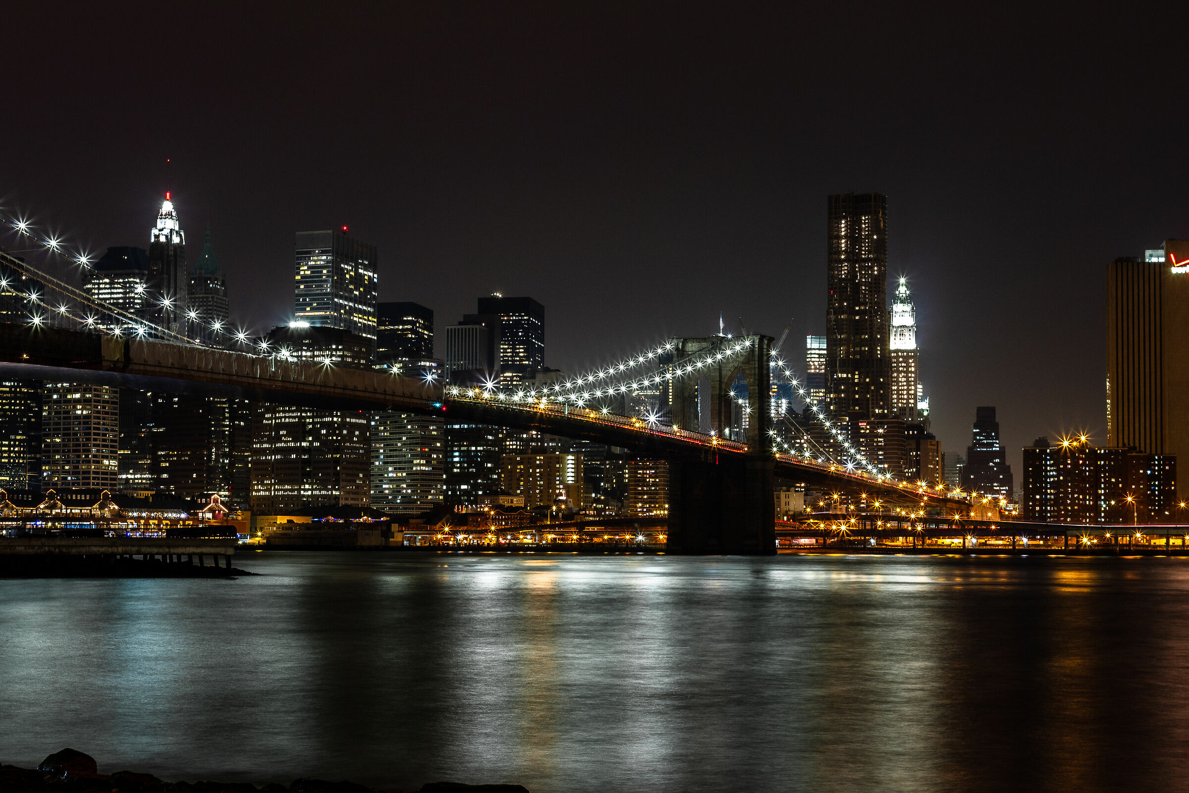 Dumbo