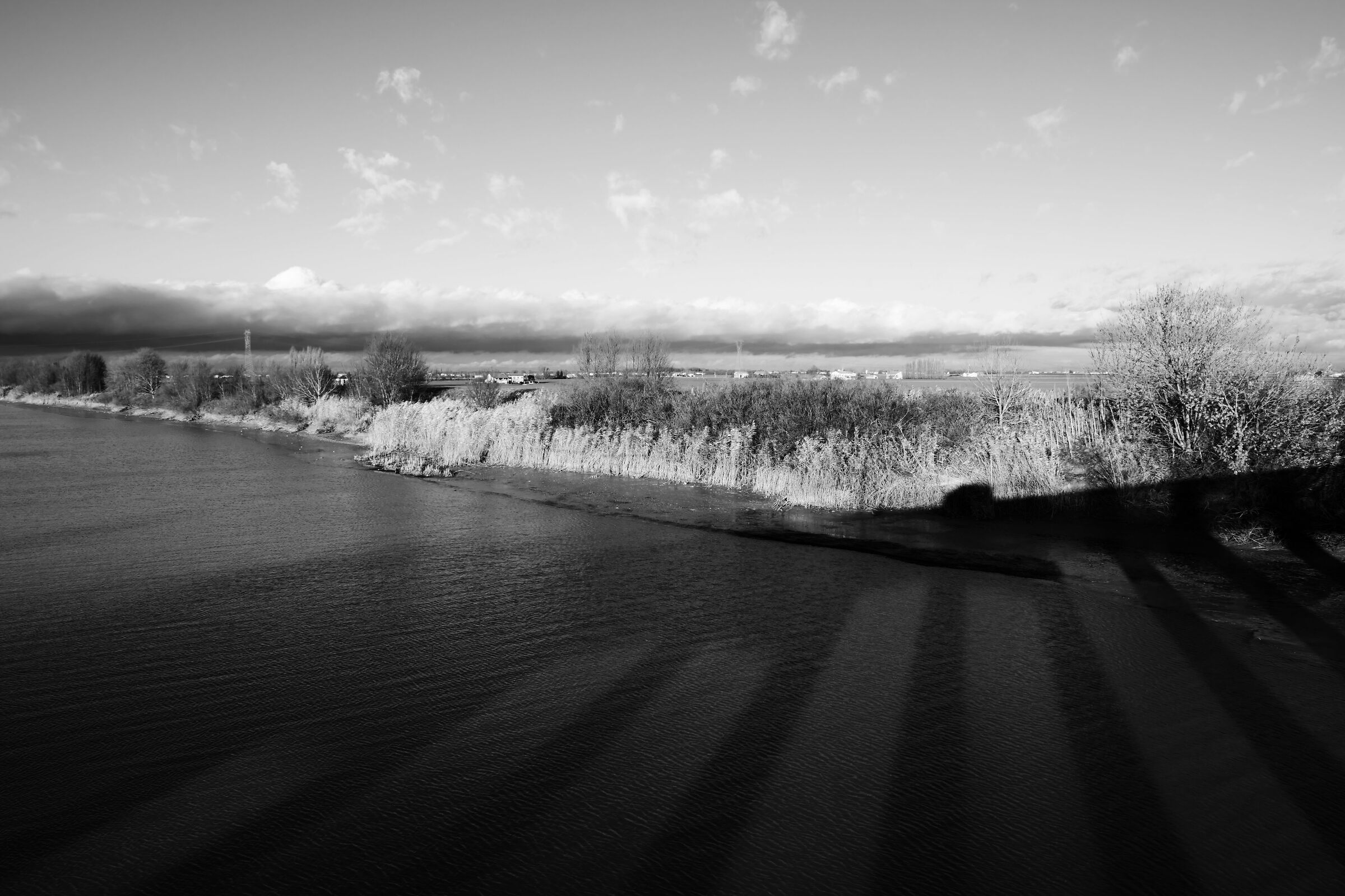 In the shadow of the bridge