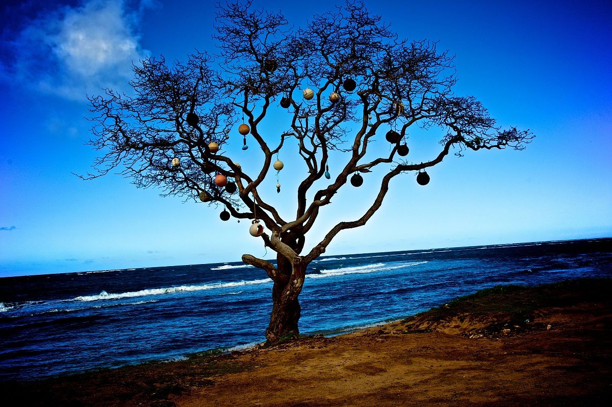 North Shore, Oahu, Hawaii