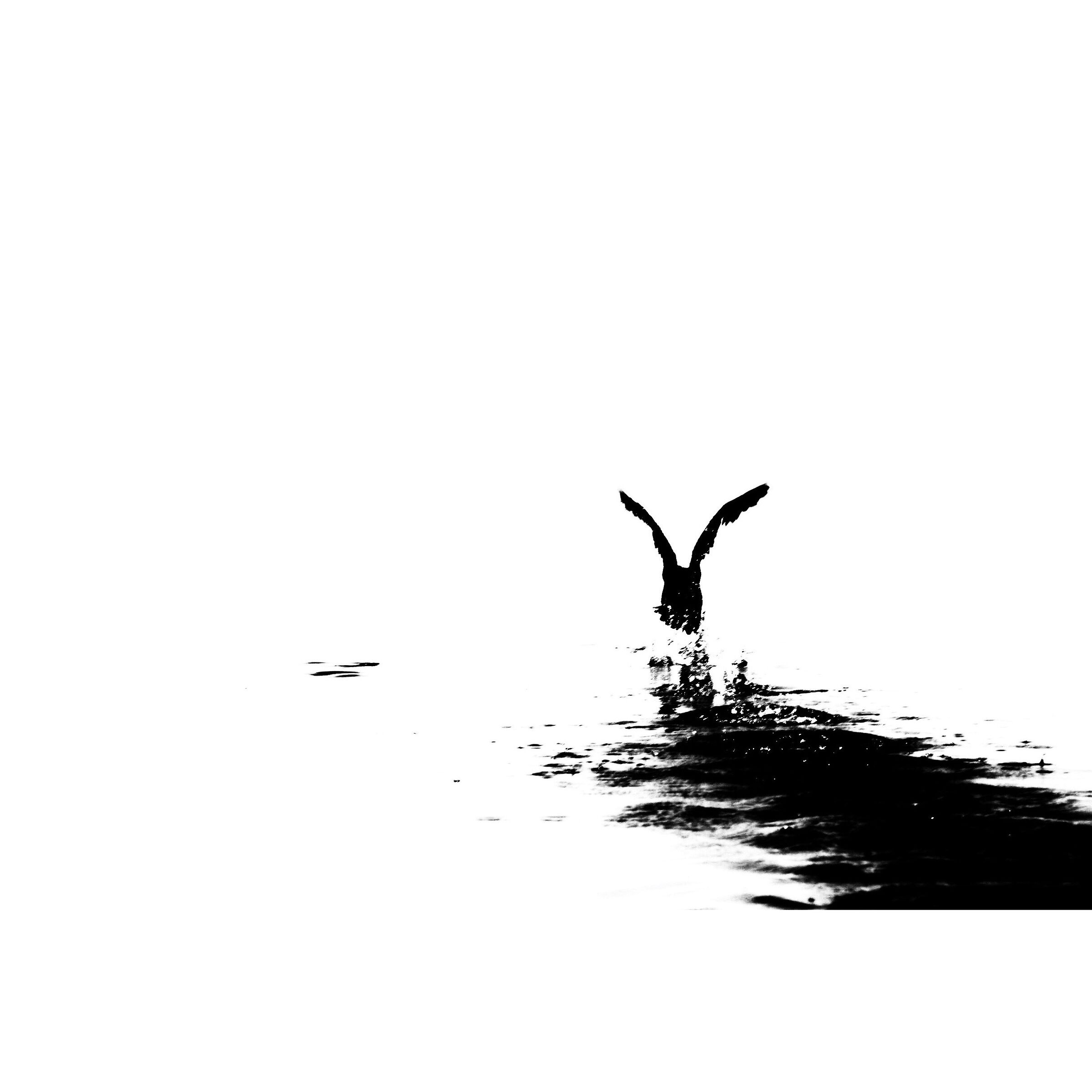 The Flight