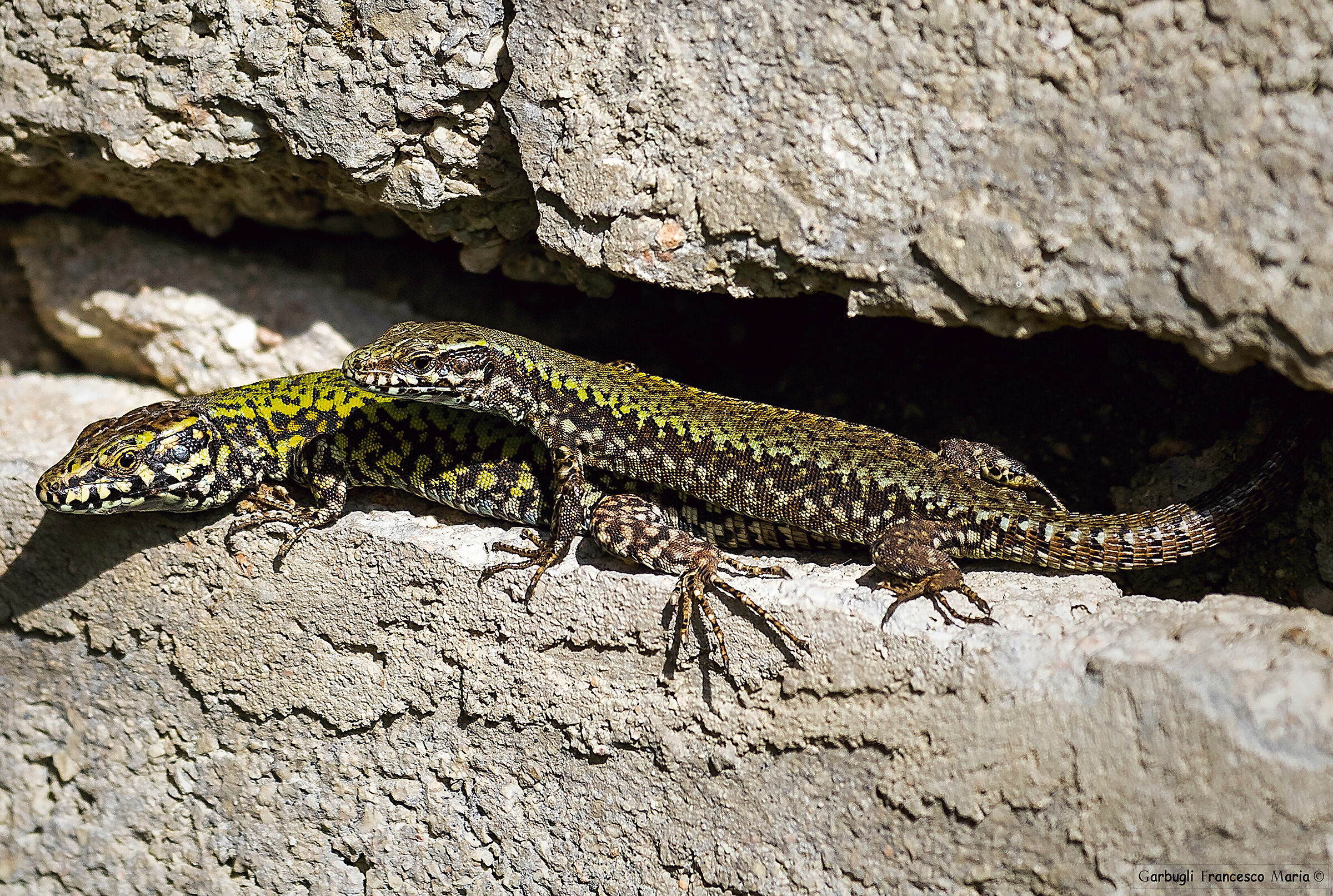 Vicine a prendere il sole......... noi no