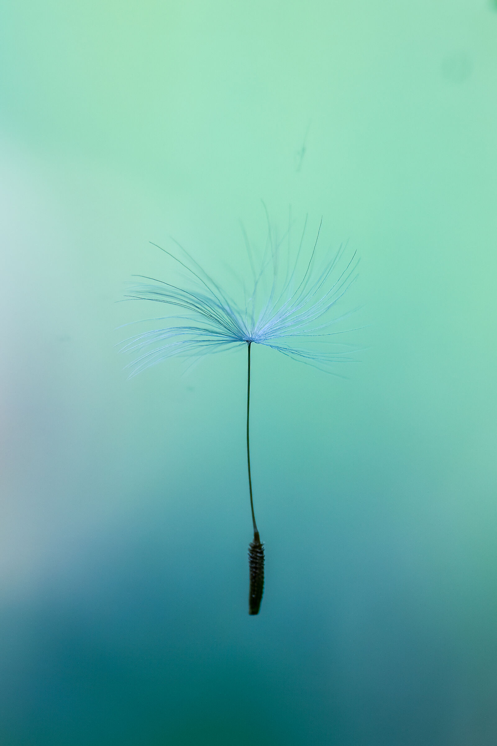 Lightness...