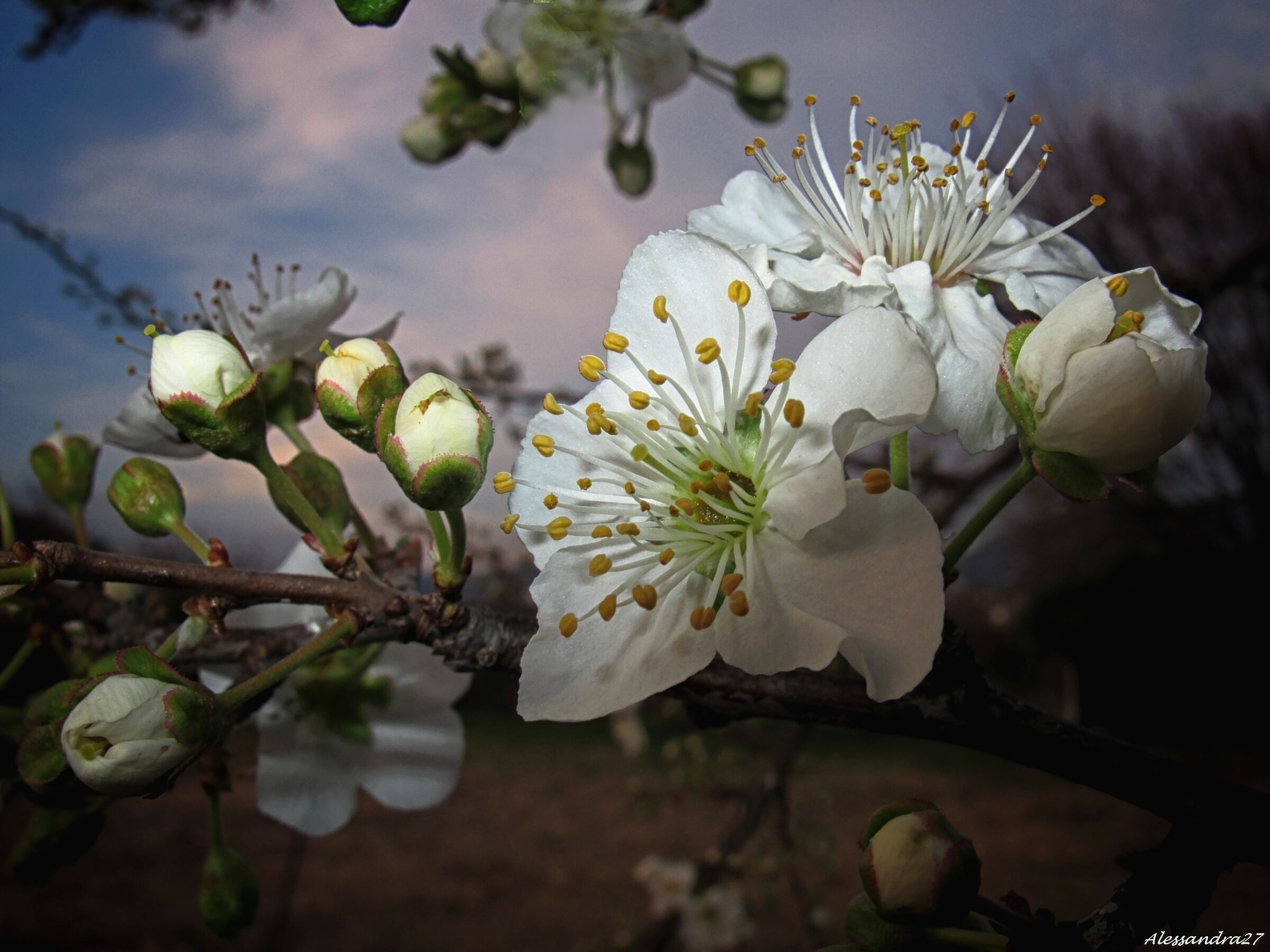 ... luci e ombre ....