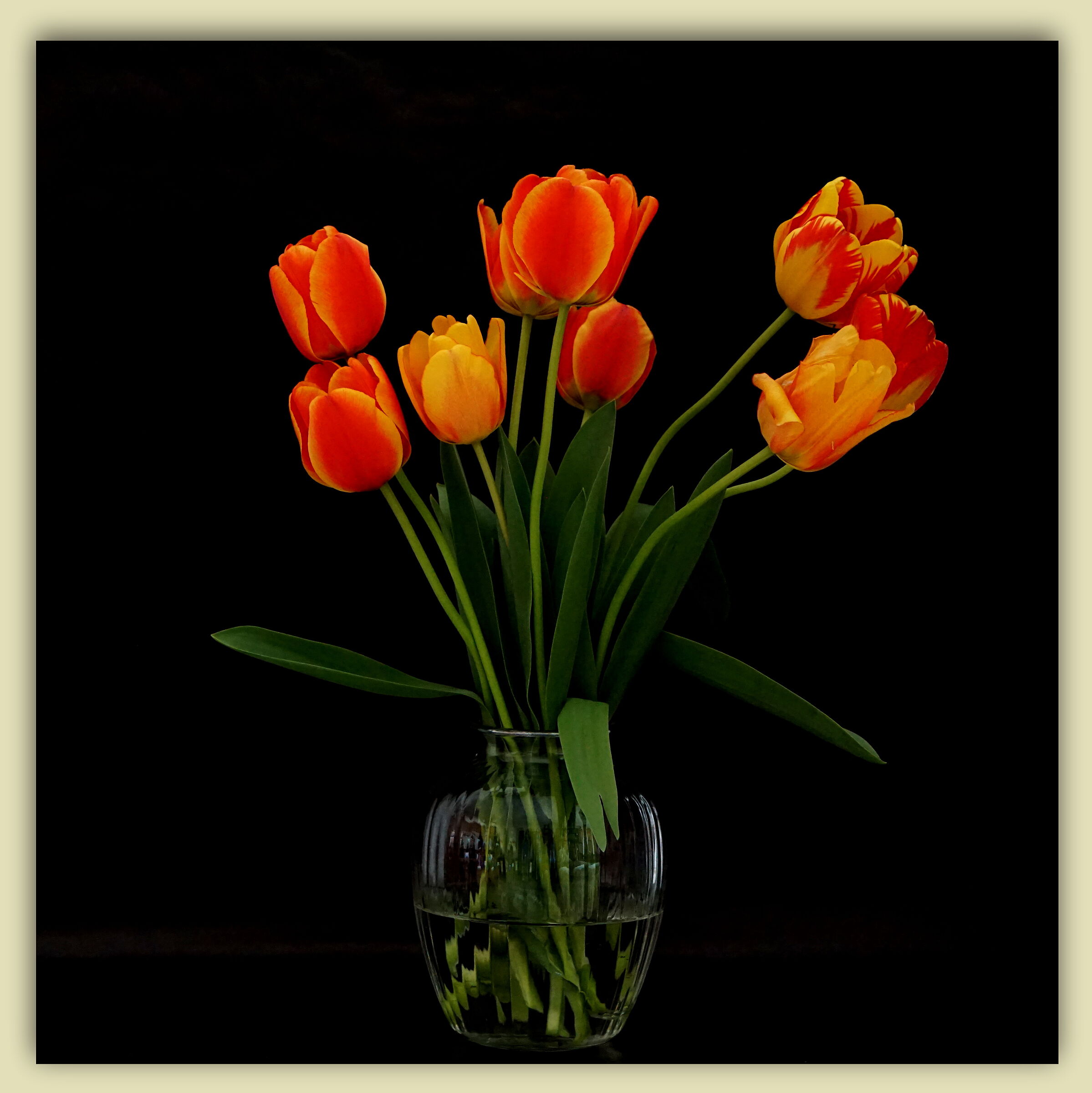 For those who are not discouraged2