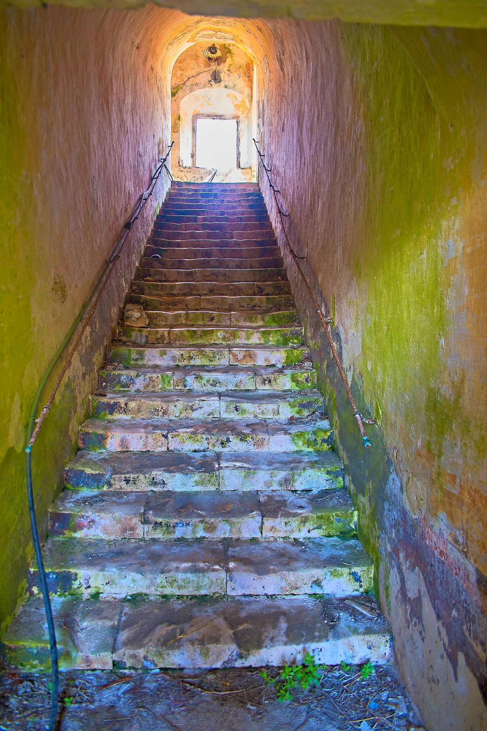 And after all, the LUCE...