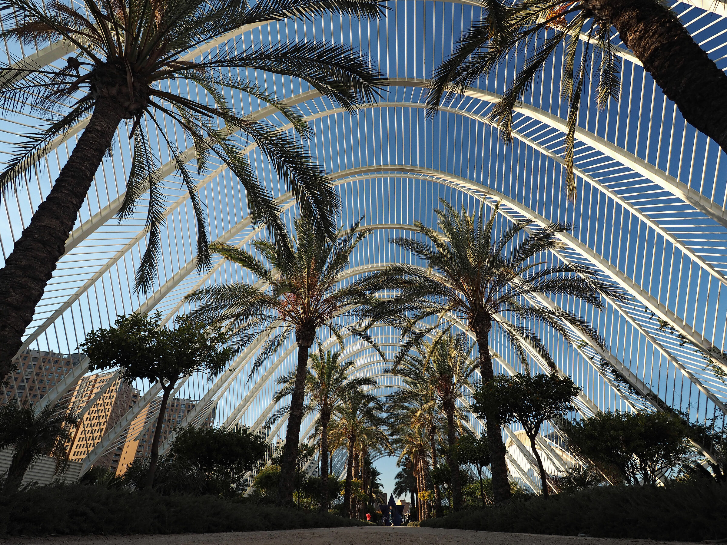Giardino dell'Astronomia