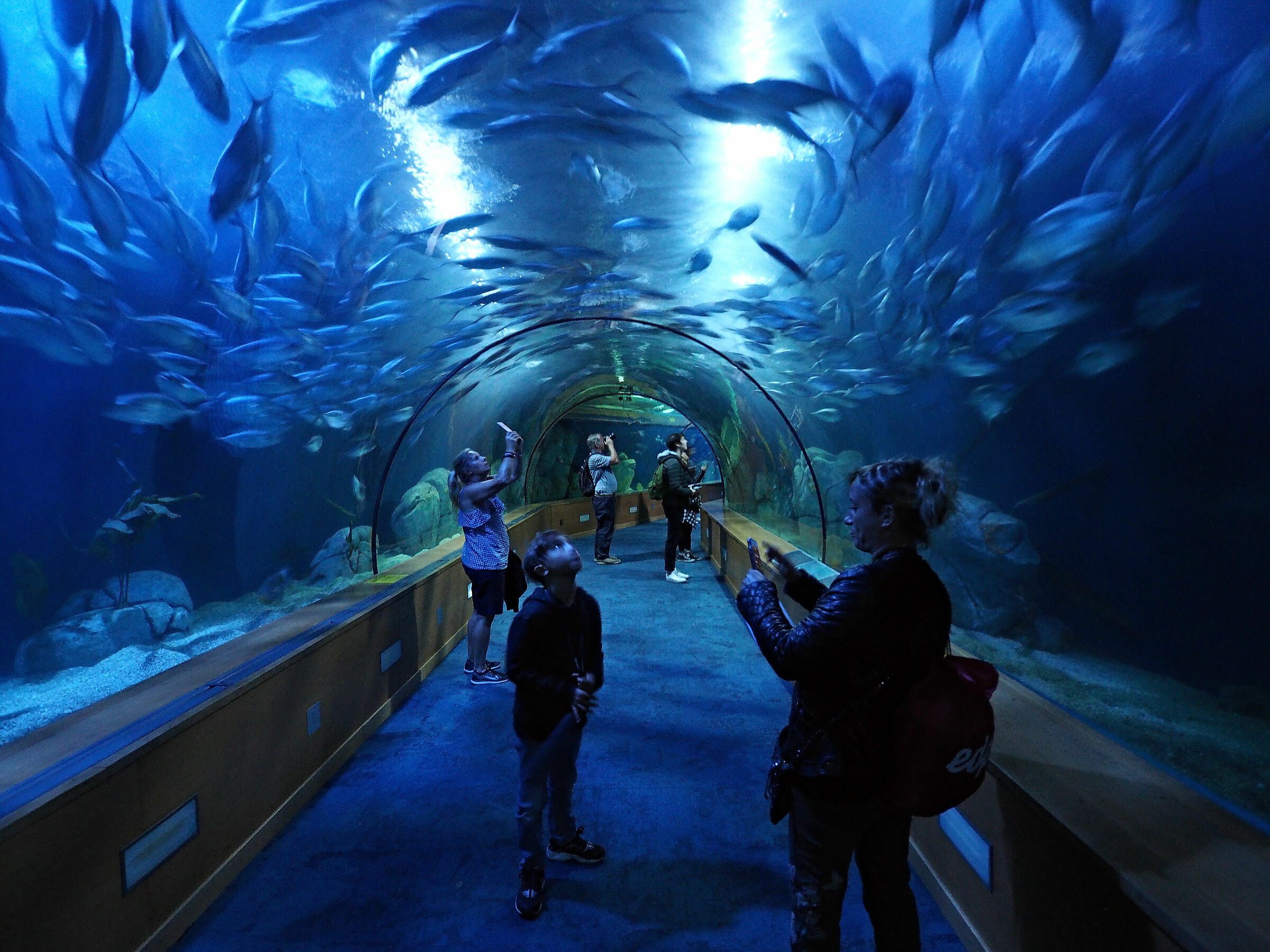 Tunnel nel museo Oceanografico