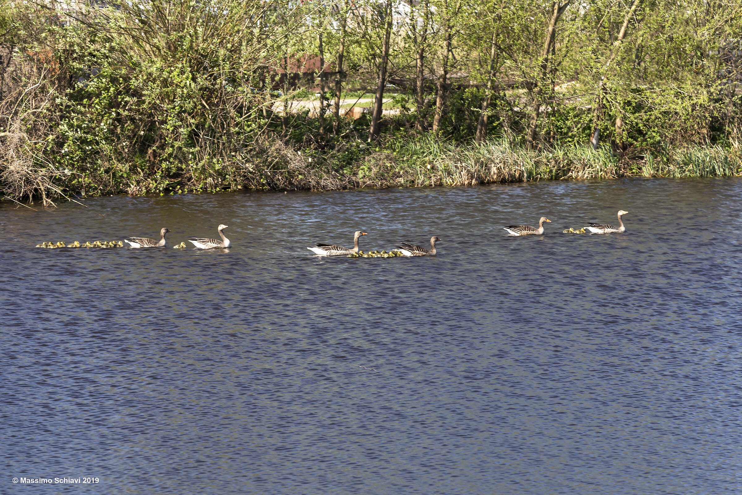 Famigliole con pargoli in gita.