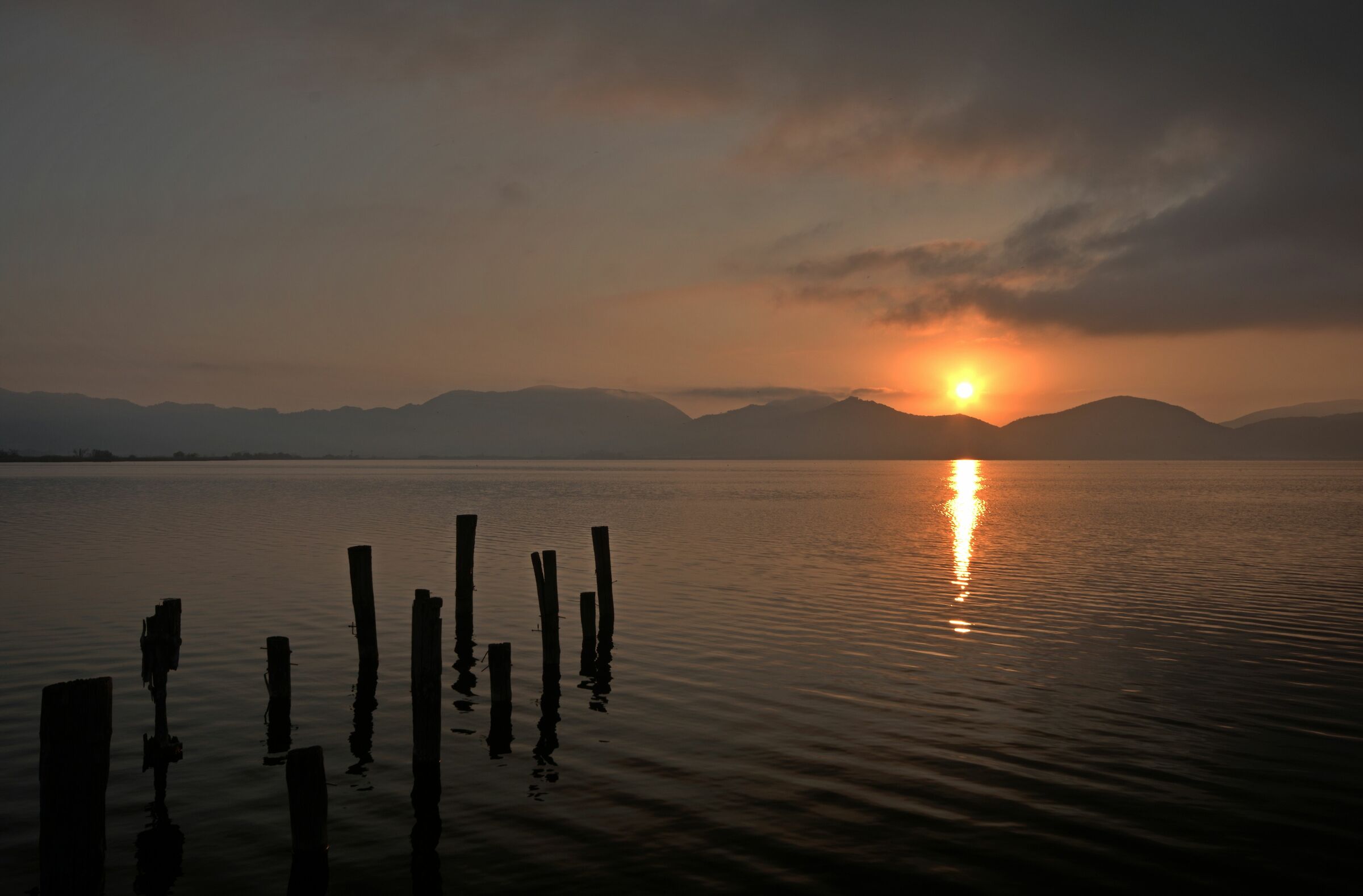 Lago di Massaciuccoli (lu)