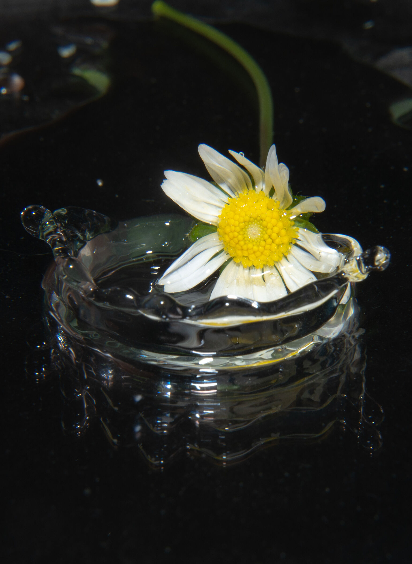 forse piove troppo...