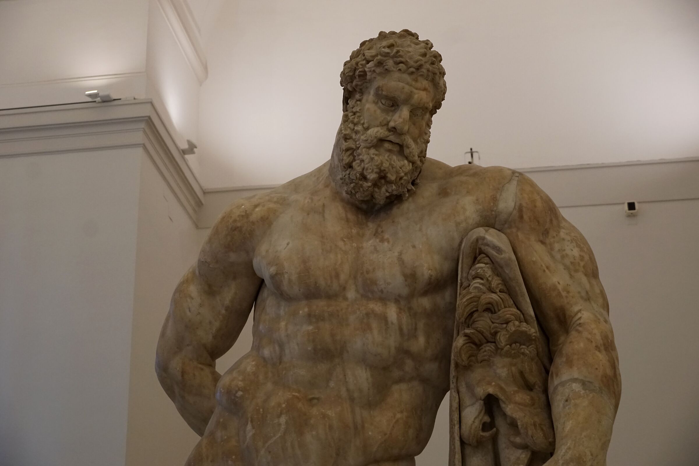 Museo Archeologico - Ercole Farnese