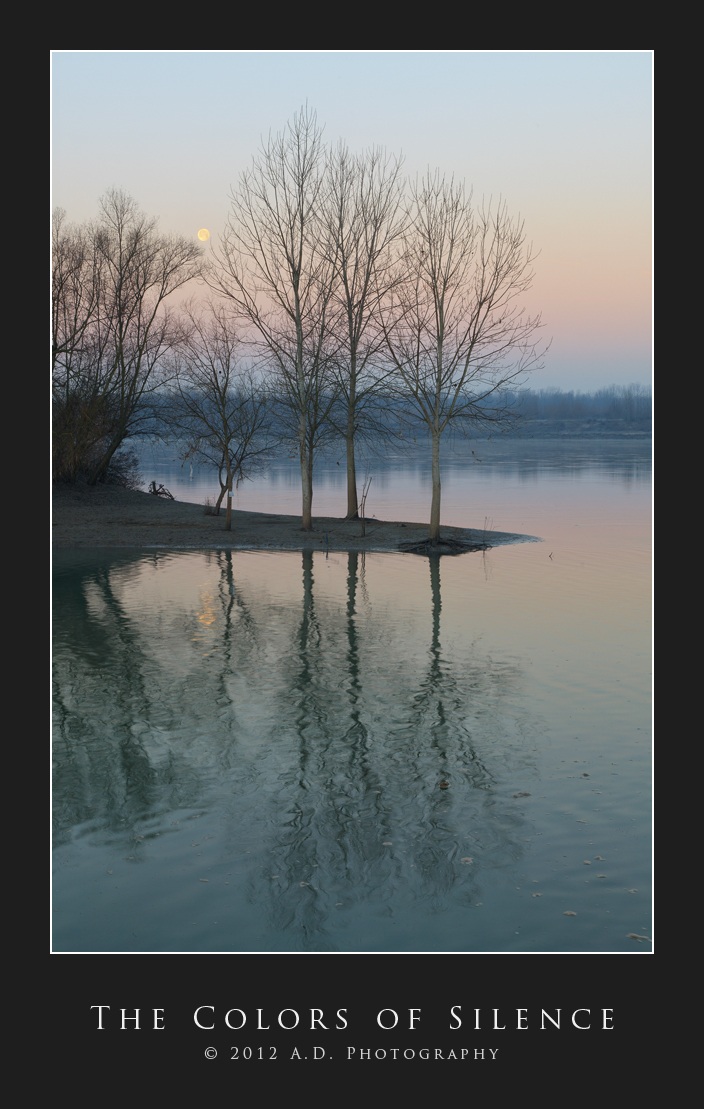 The Colors of Silence