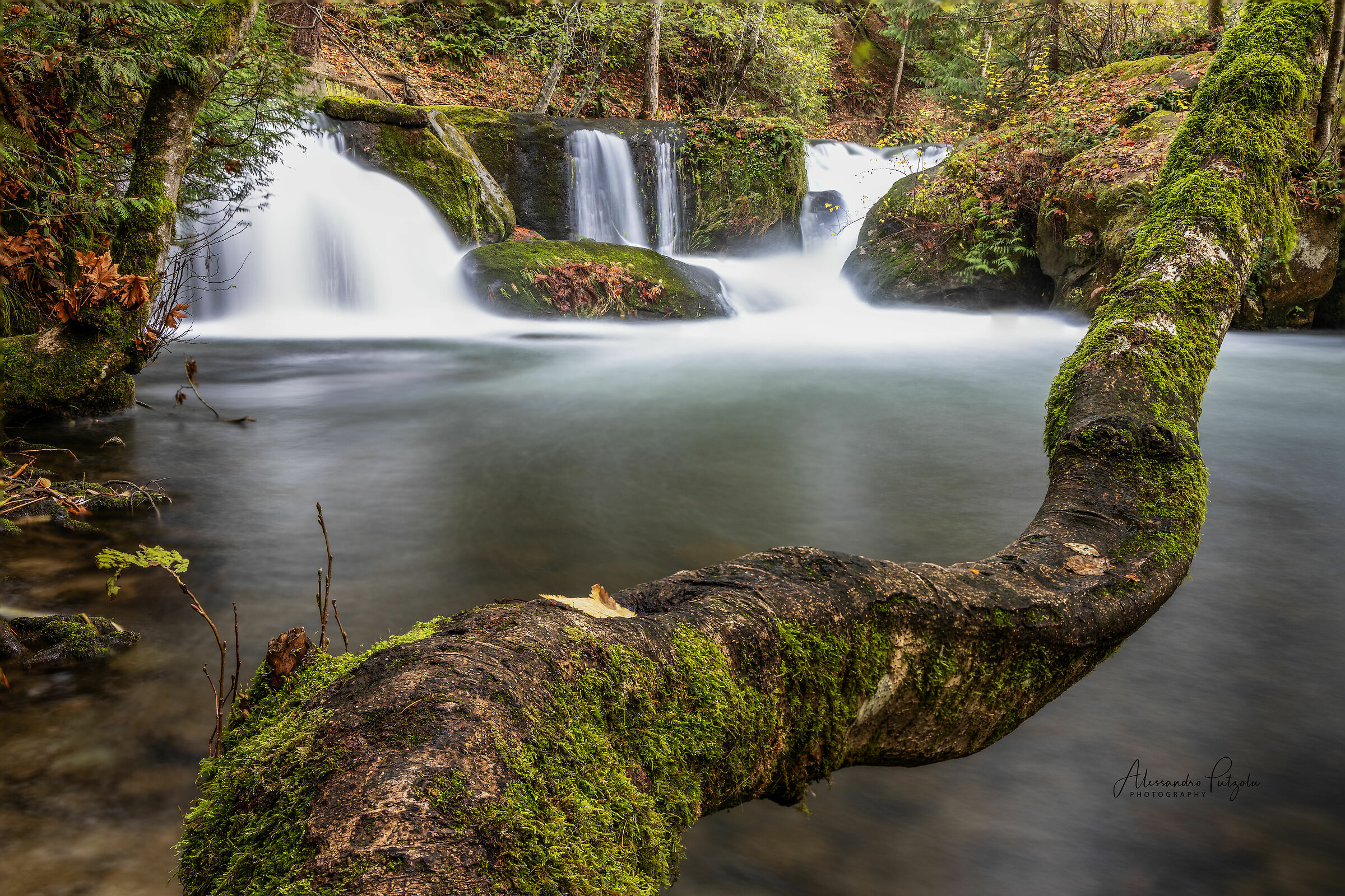 Bellingham Falls - Washington State