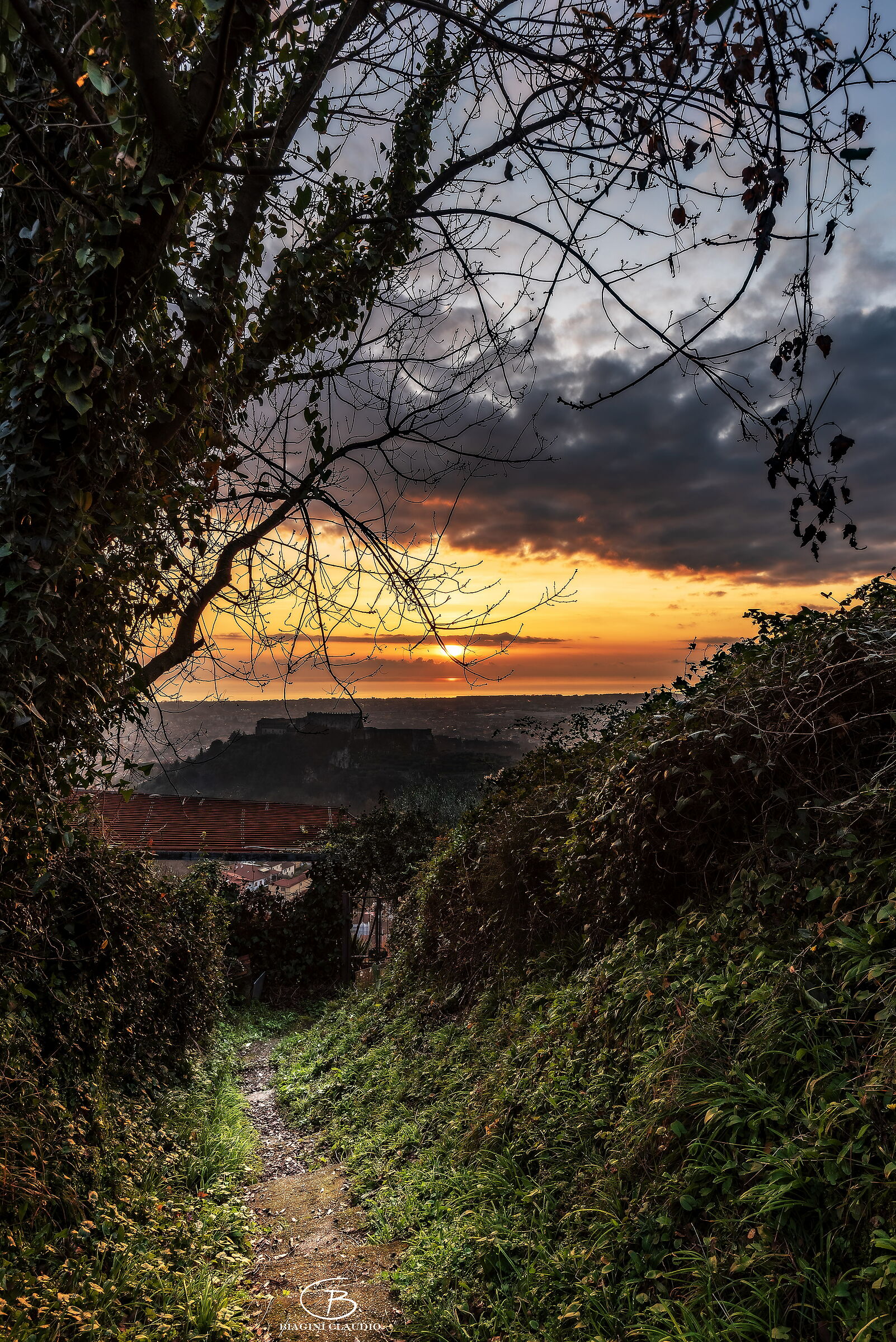The path to the castle