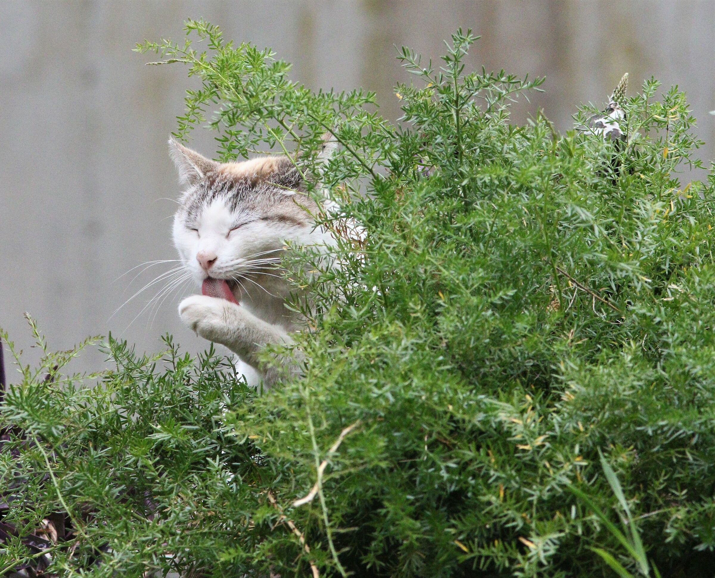 These days let's get the .... Hands