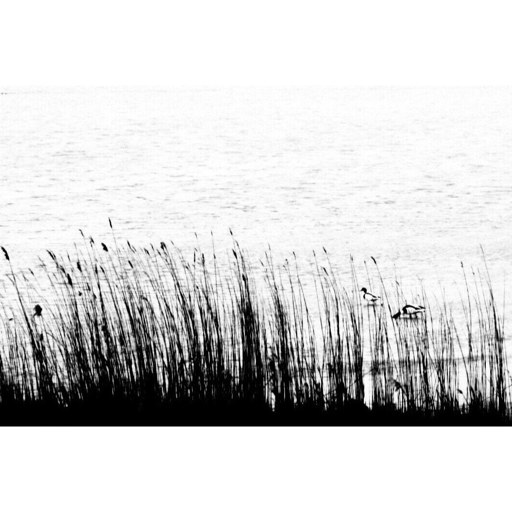 Silence