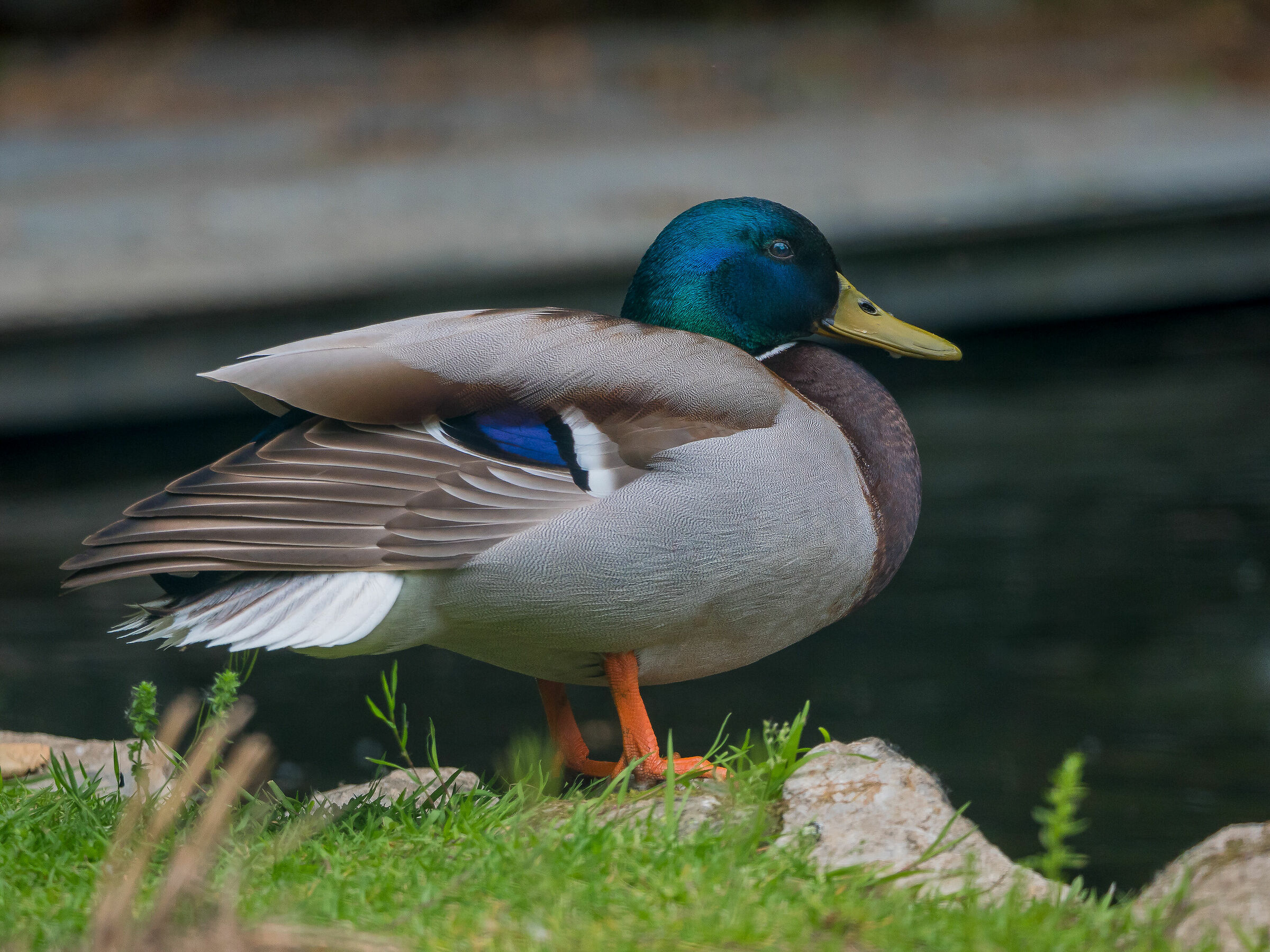 The natural beauty of nature.....