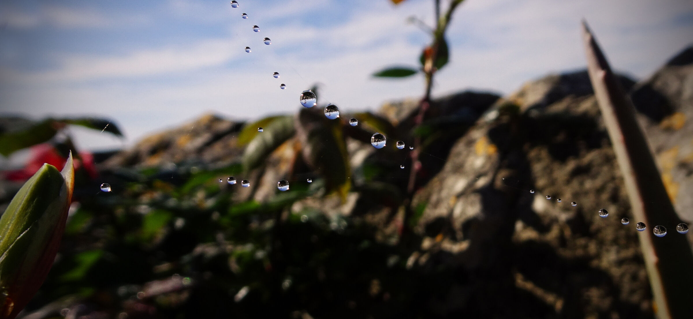 distanziamento sociale