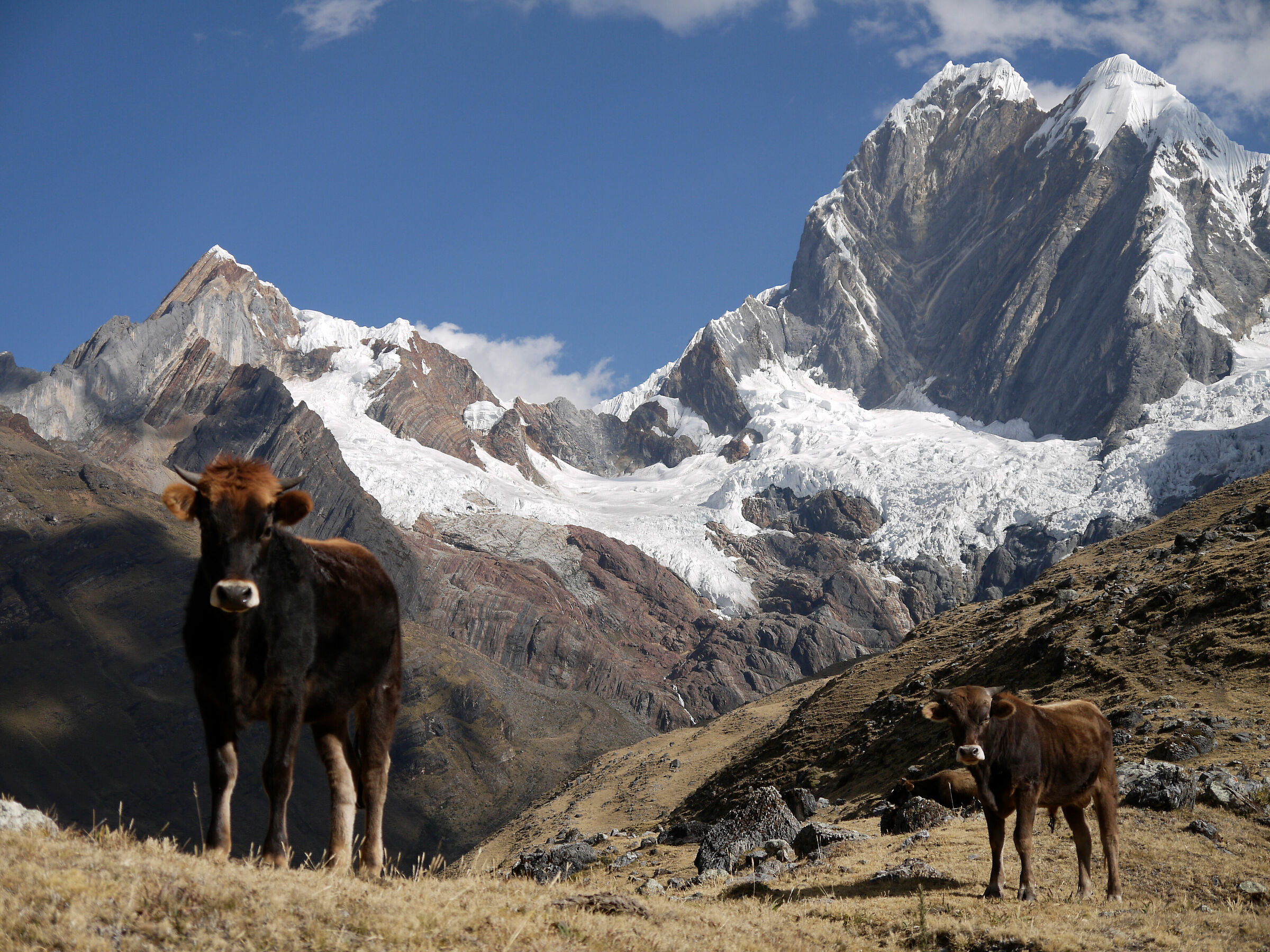 Visti da vicino, 2016