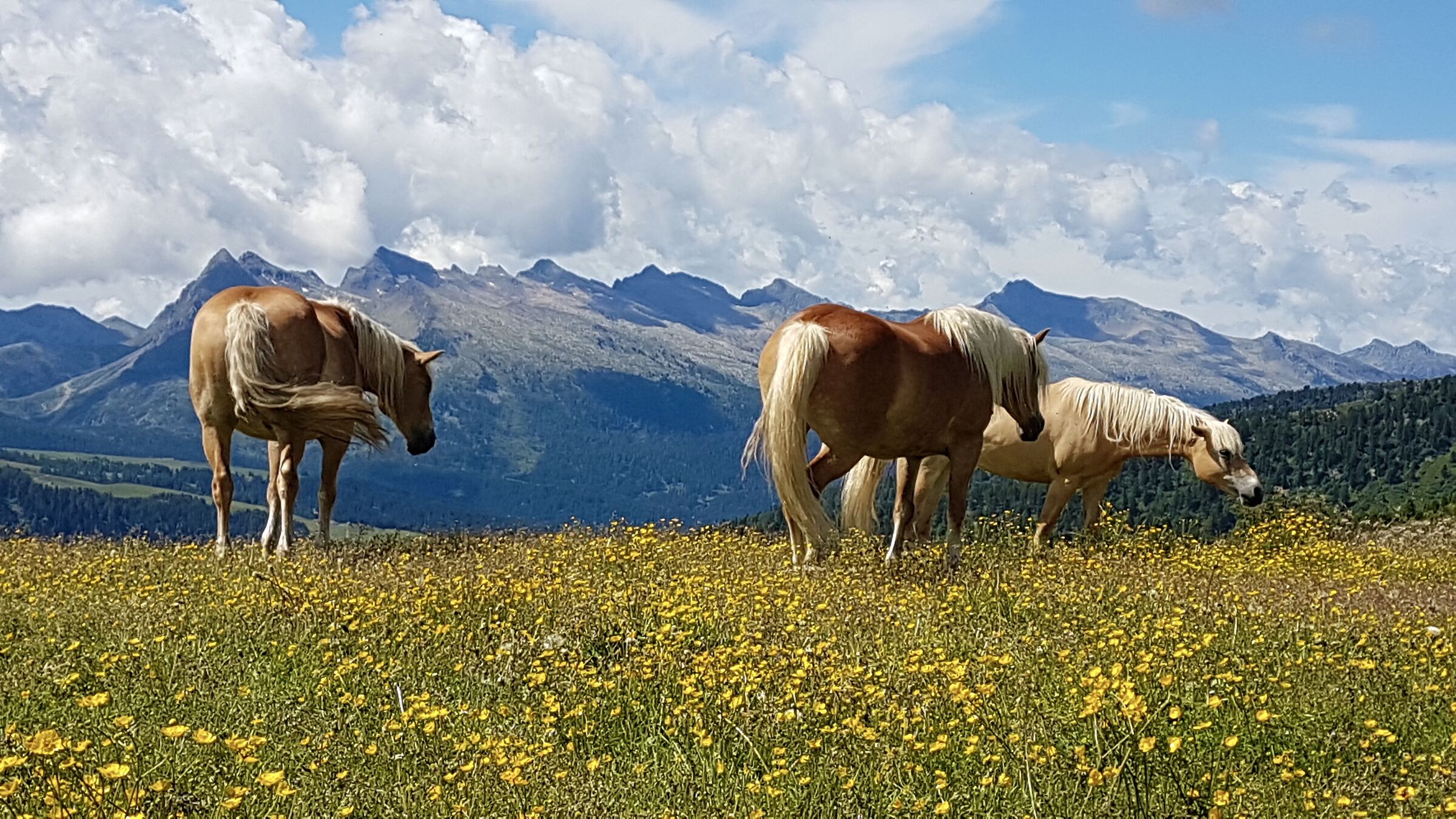 The taste of freedom