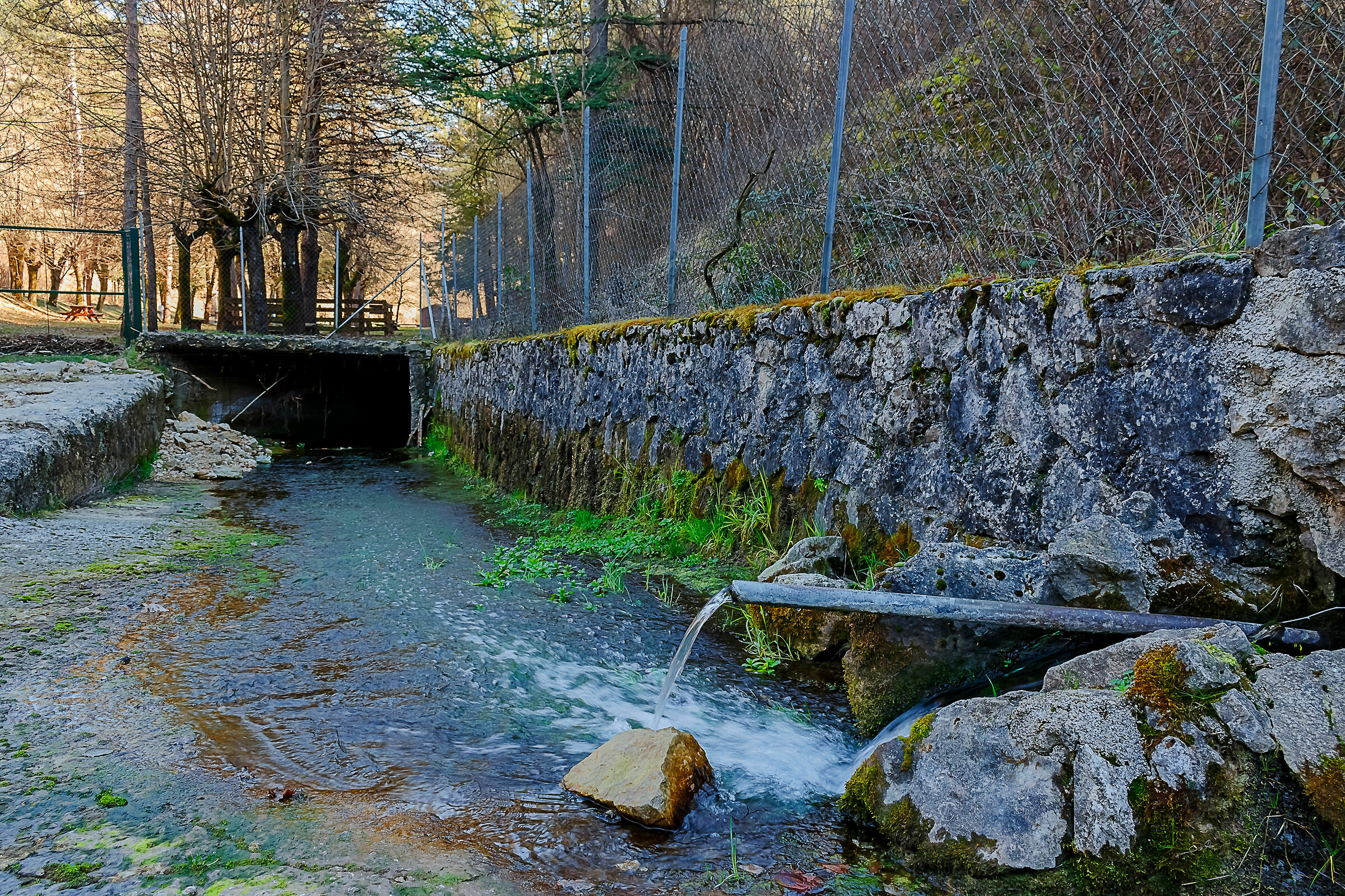 Fonte Suria (Trevi nel Lazio 3)