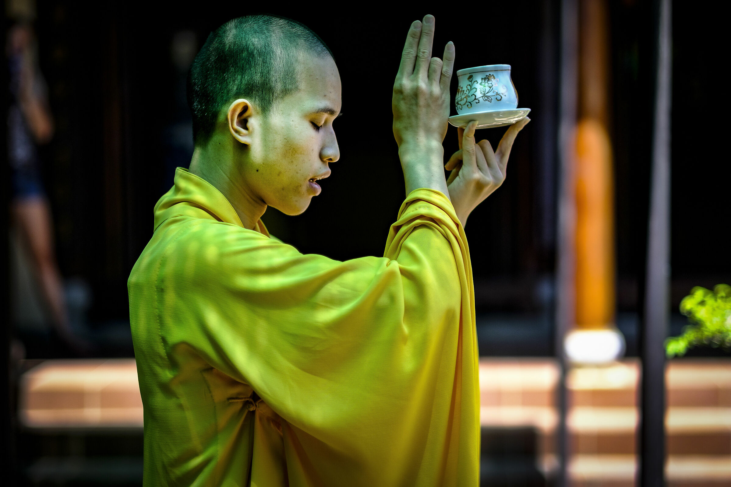 monaco al tempio buddista di hue